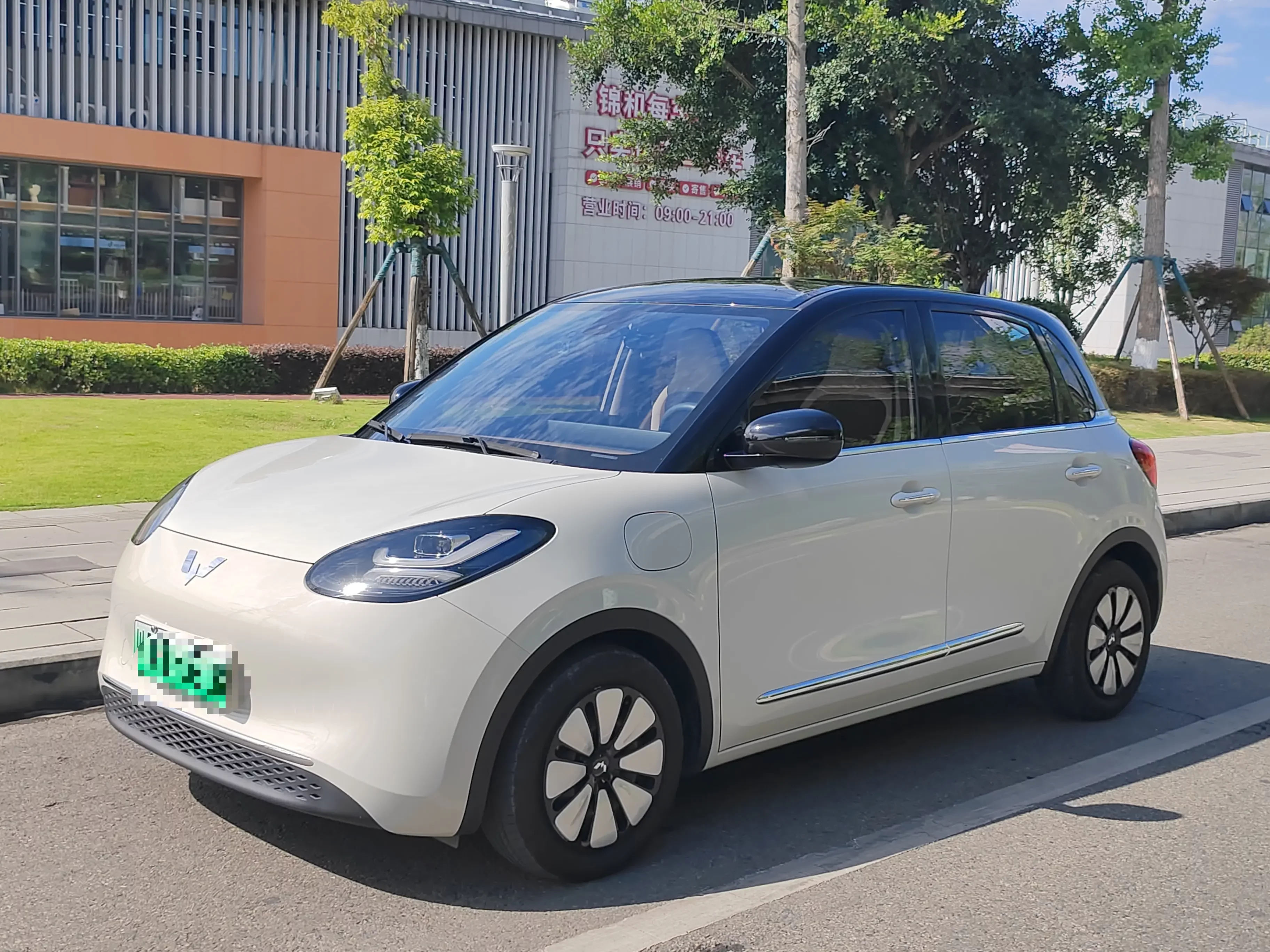 Wuling Bingo
