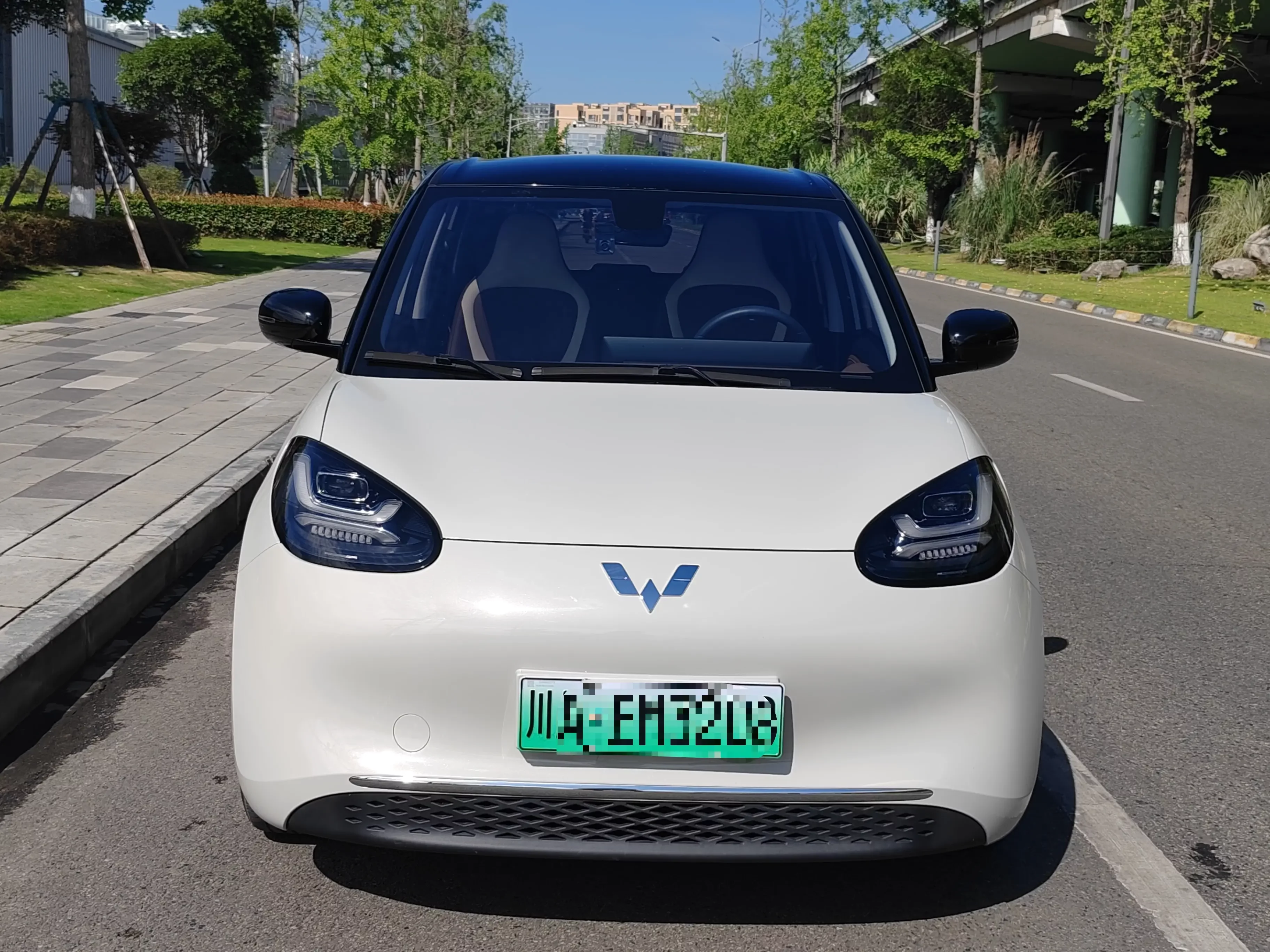 Wuling Bingo