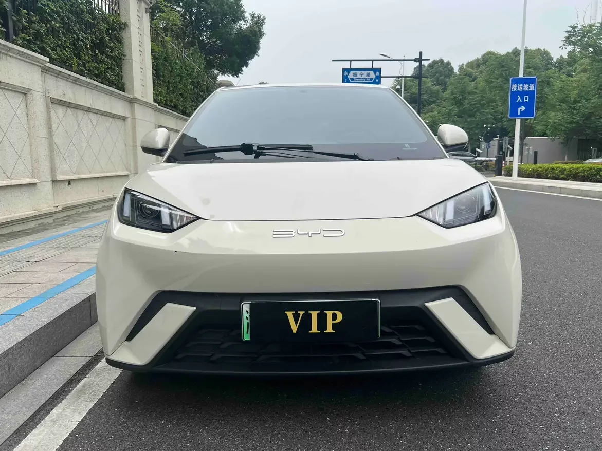BYD seagull