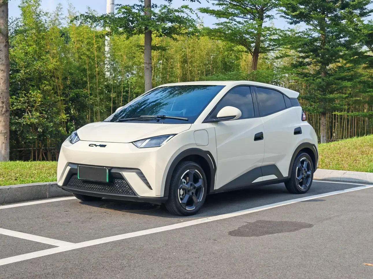 BYD seagull
