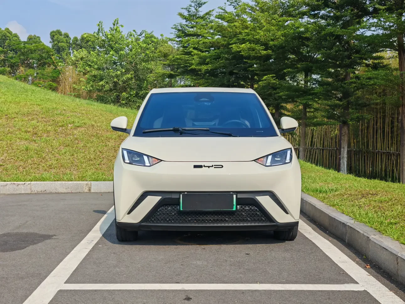 BYD seagull