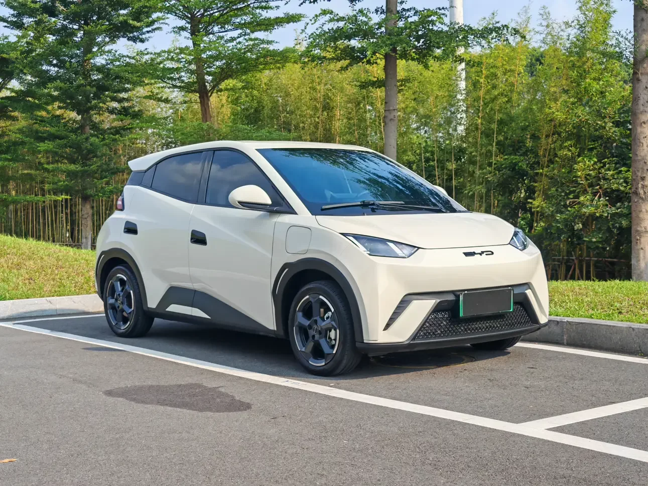 BYD seagull