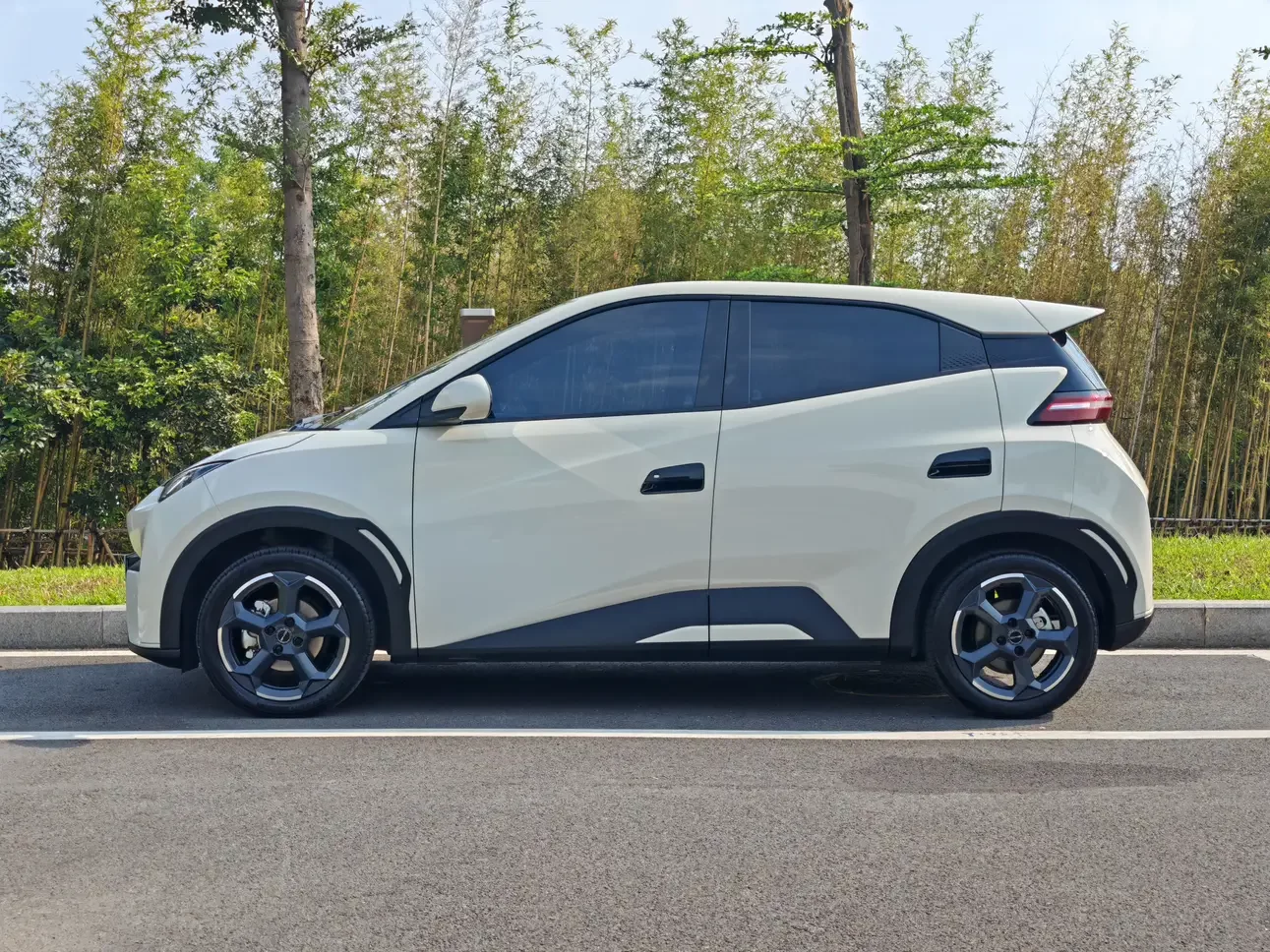 BYD seagull