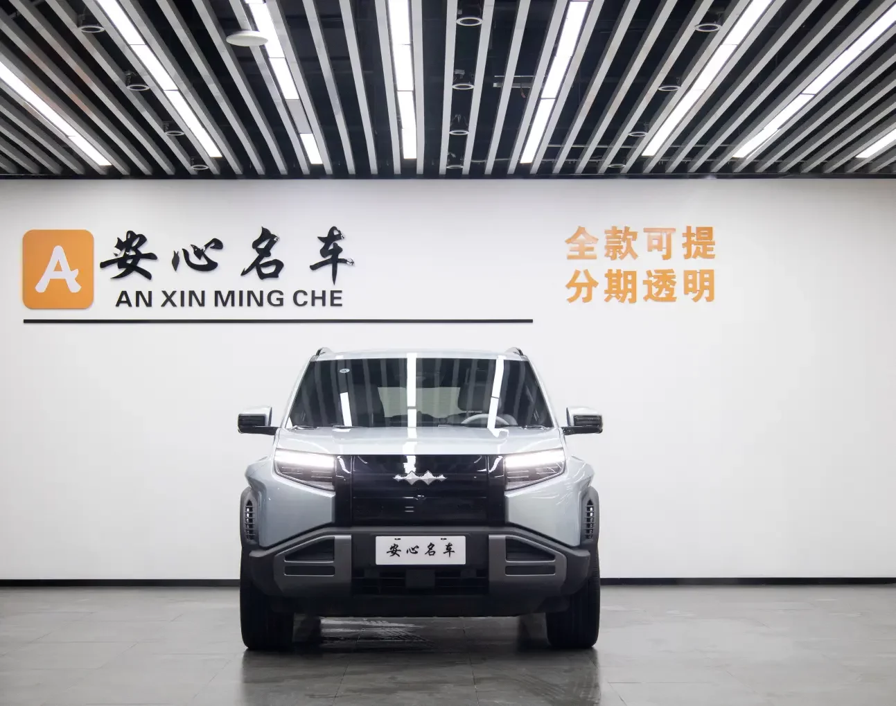BYD Leopard Titanium 3