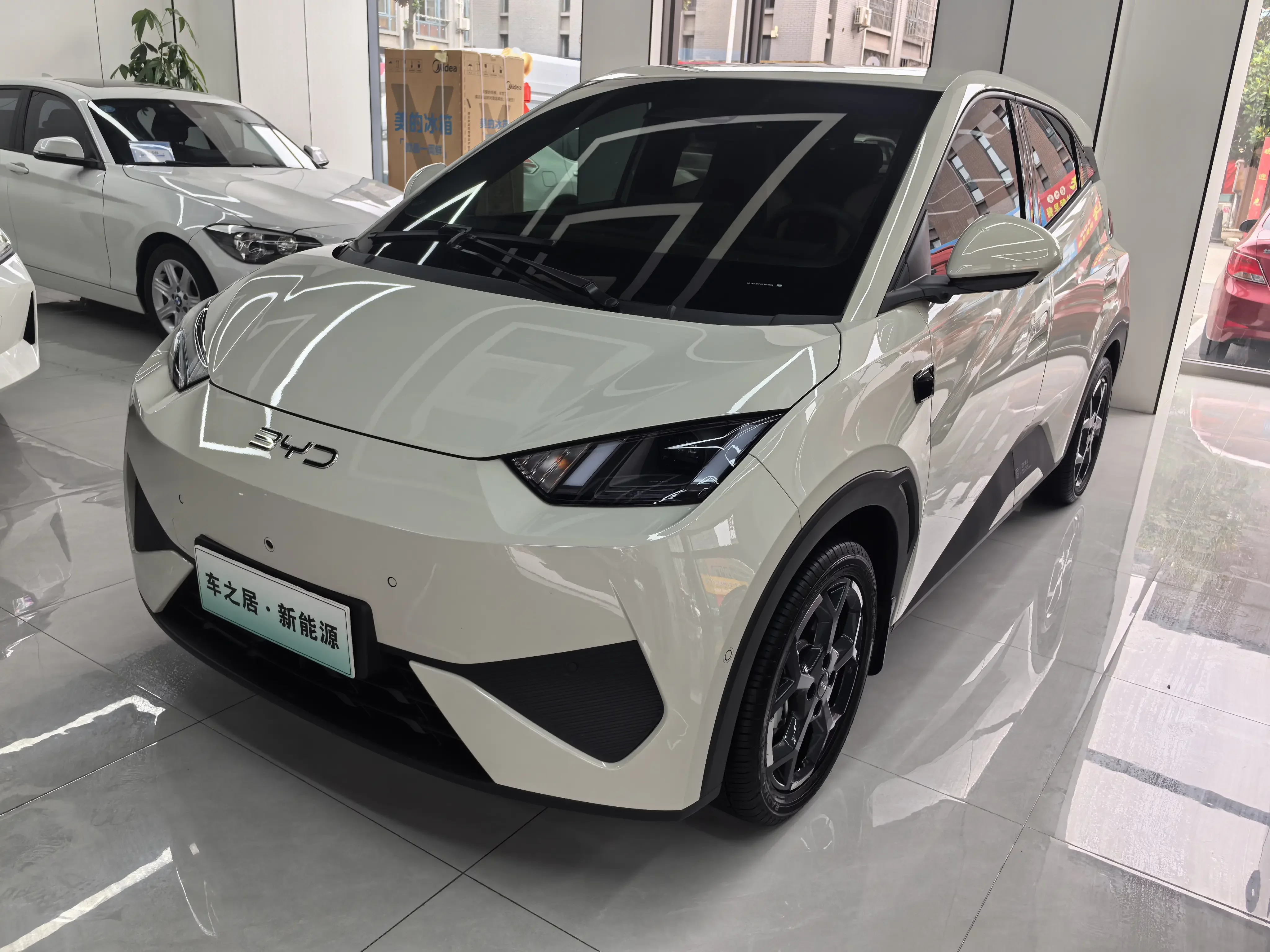 BYD seagull