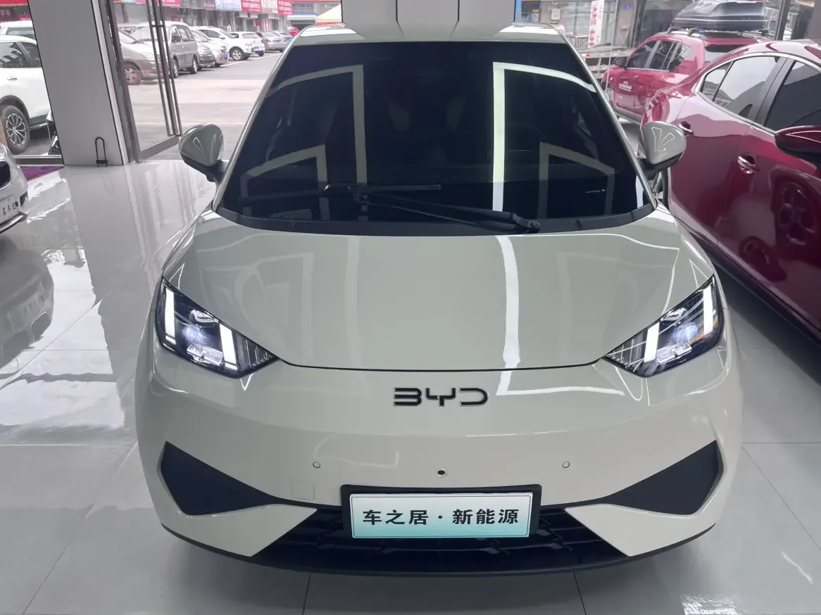 BYD seagull