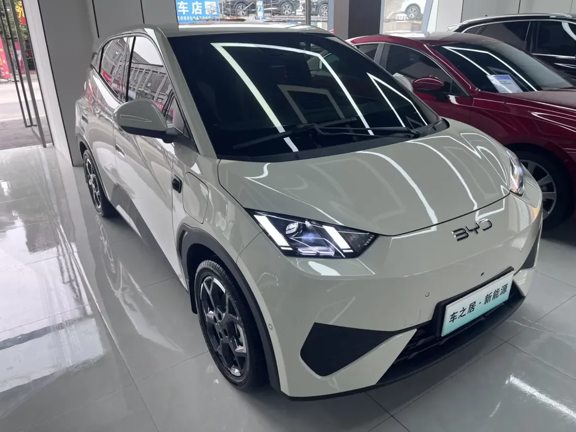 BYD seagull