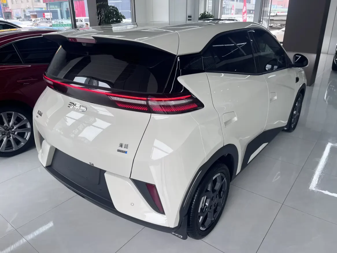 BYD seagull