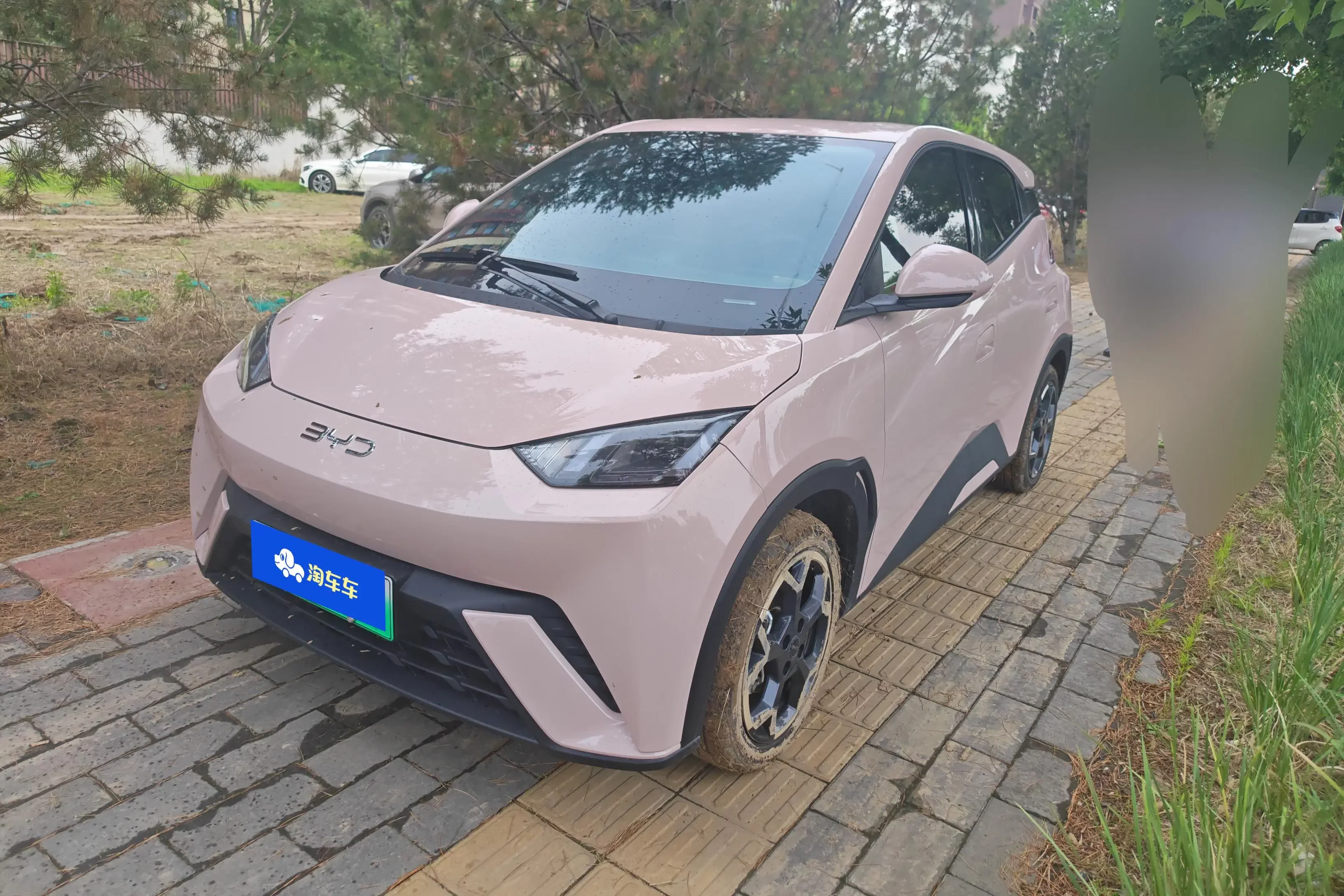 BYD seagull