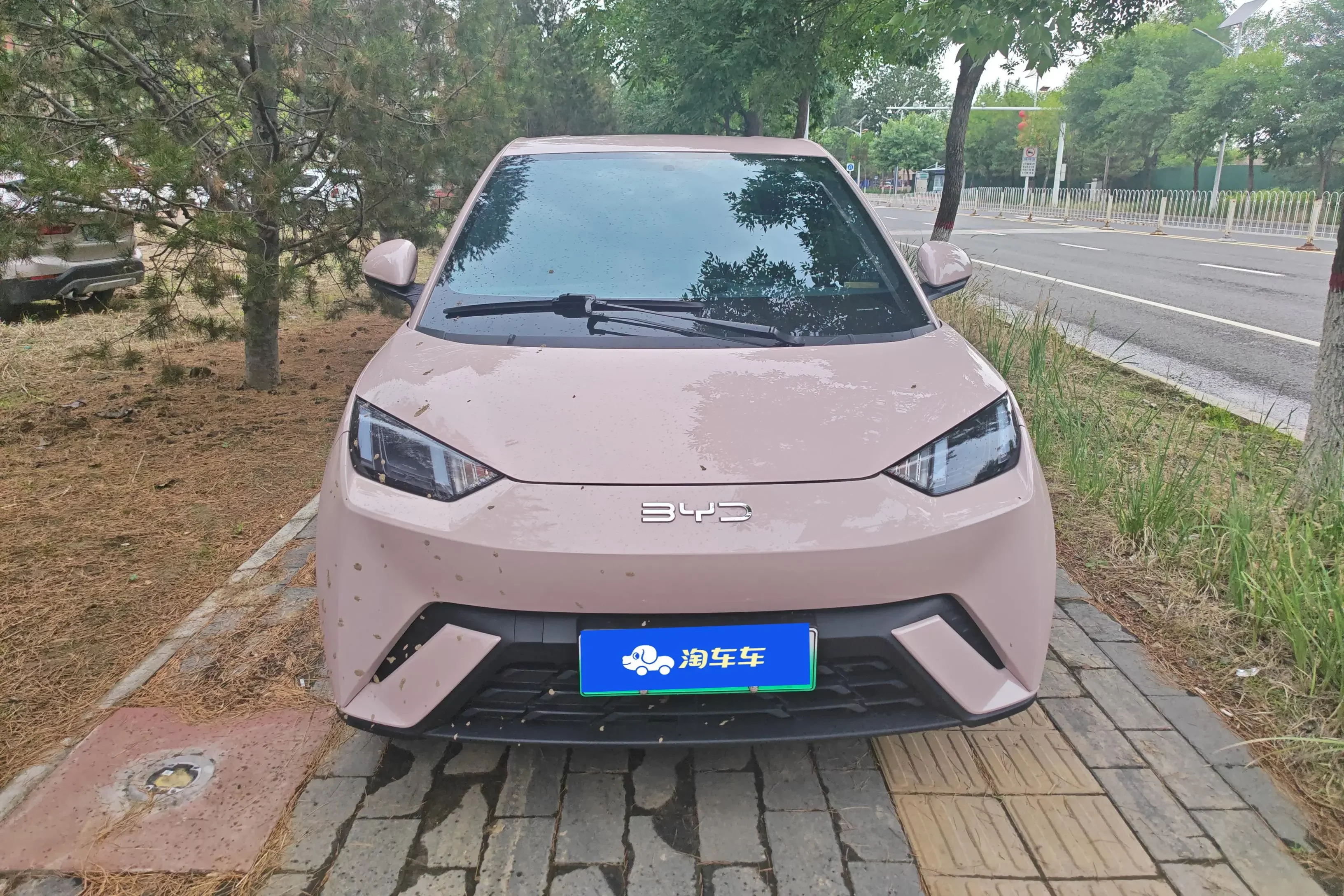 BYD seagull