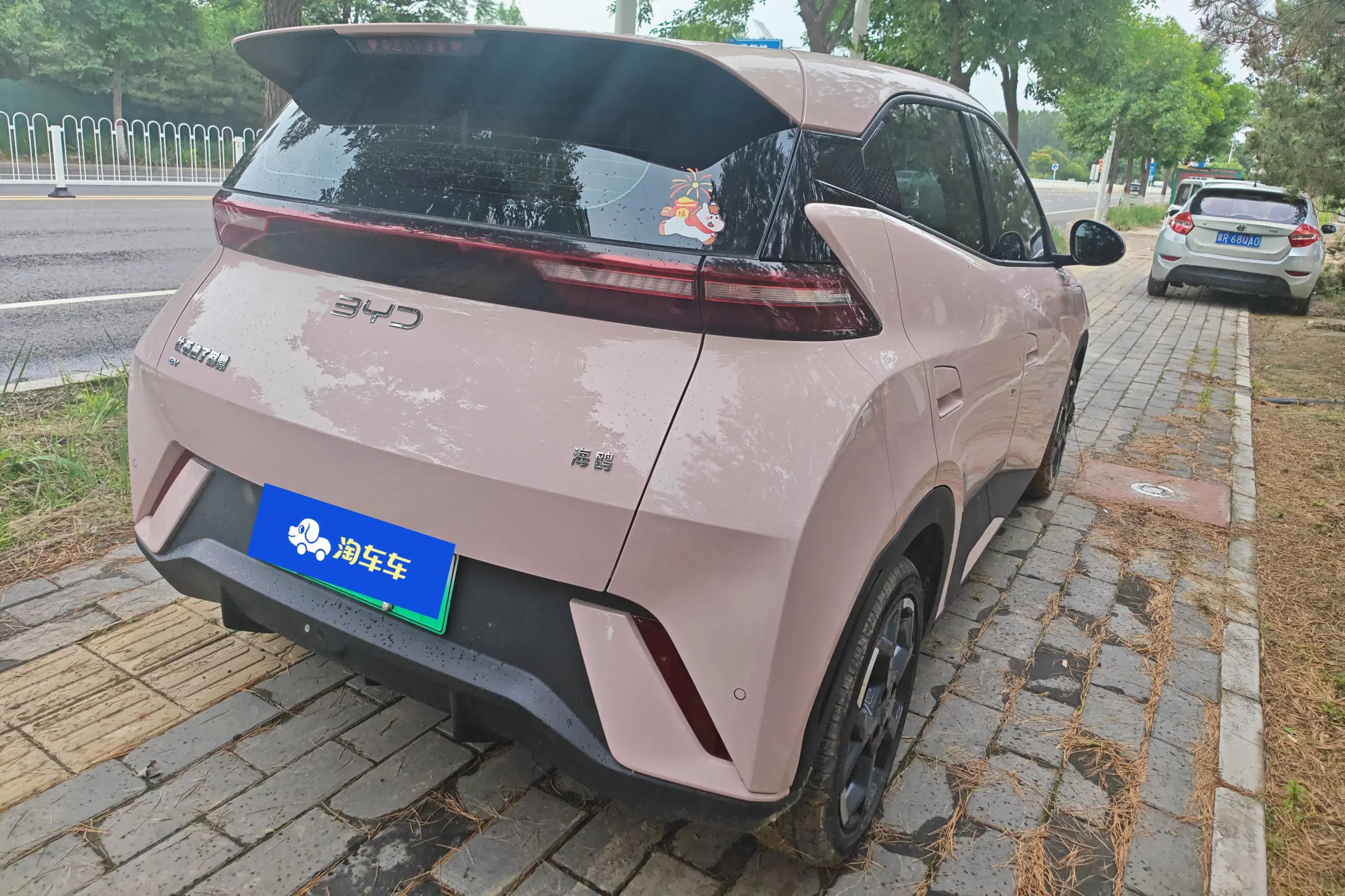 BYD seagull
