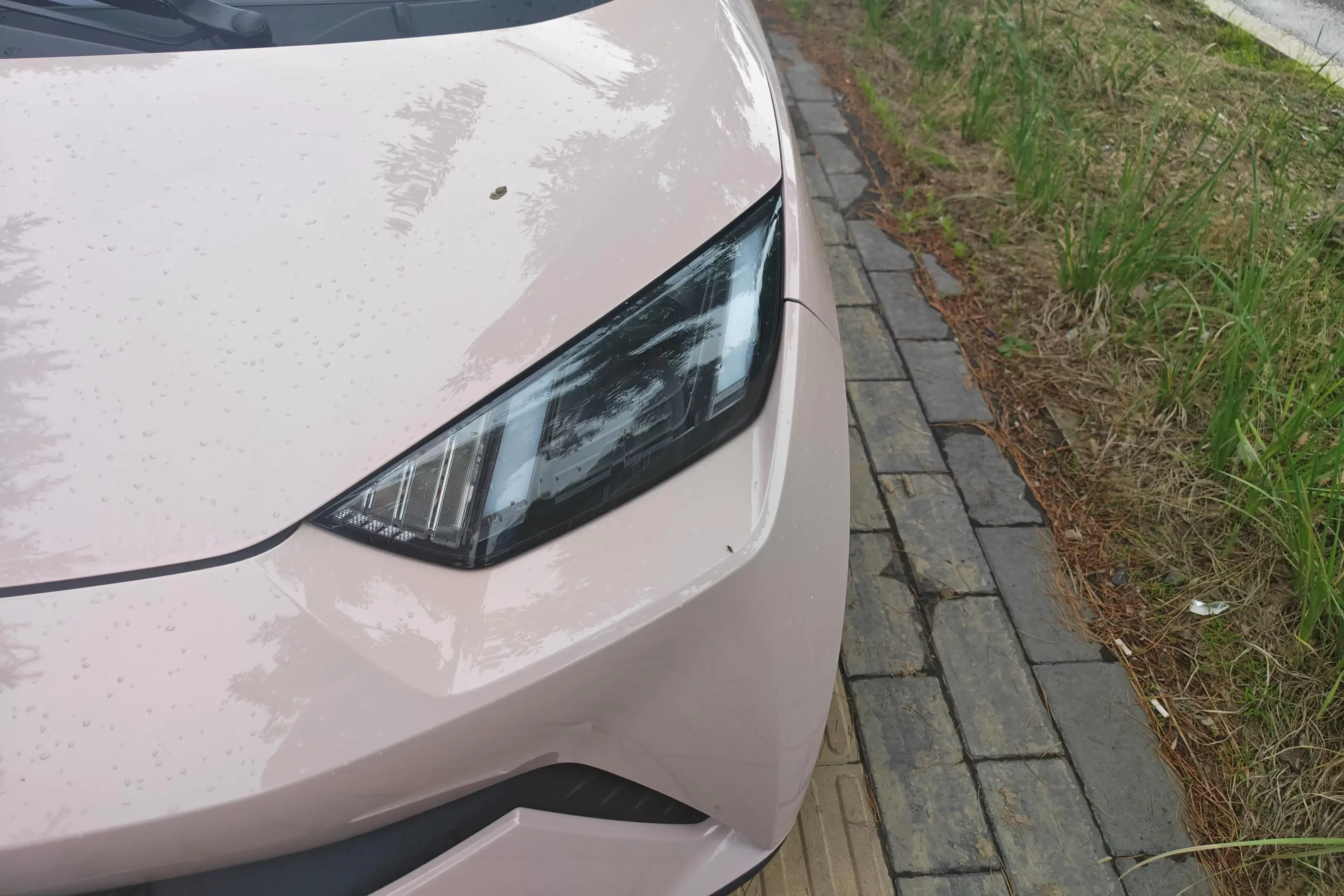 BYD seagull