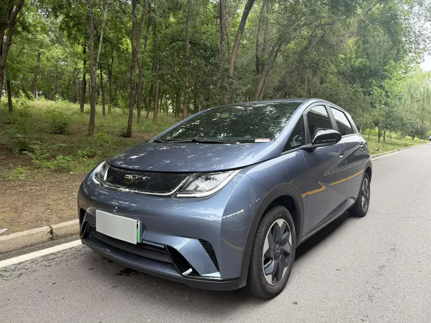 BYD dolphin