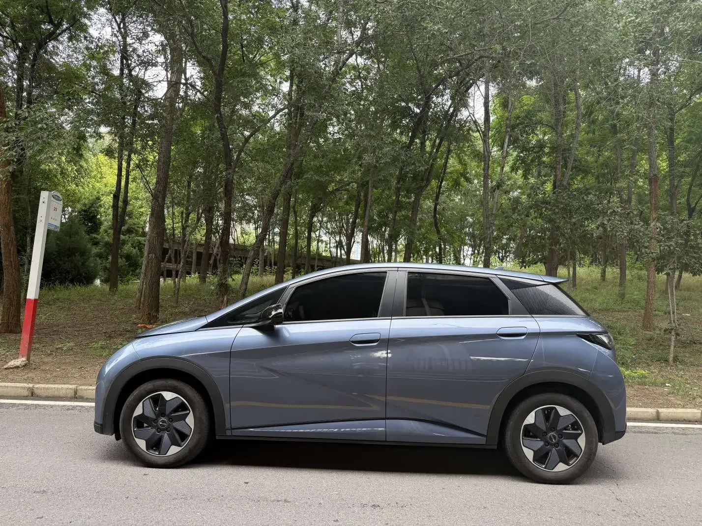 BYD dolphin