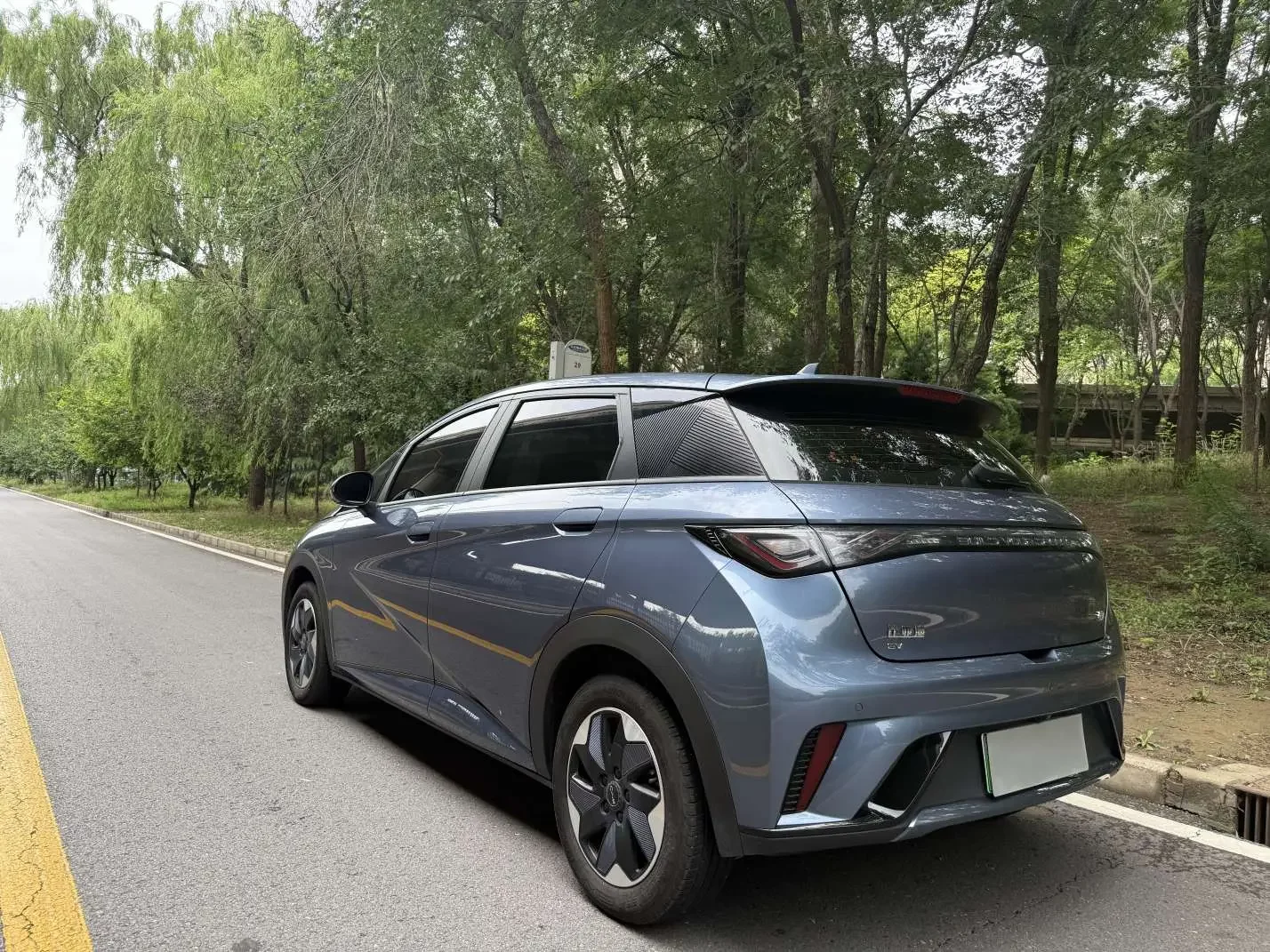 BYD dolphin