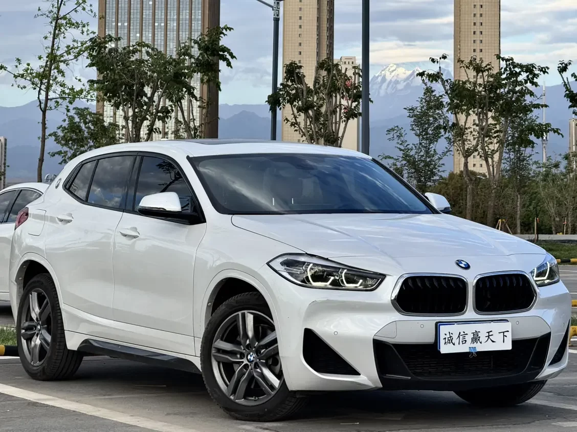 BMW X2