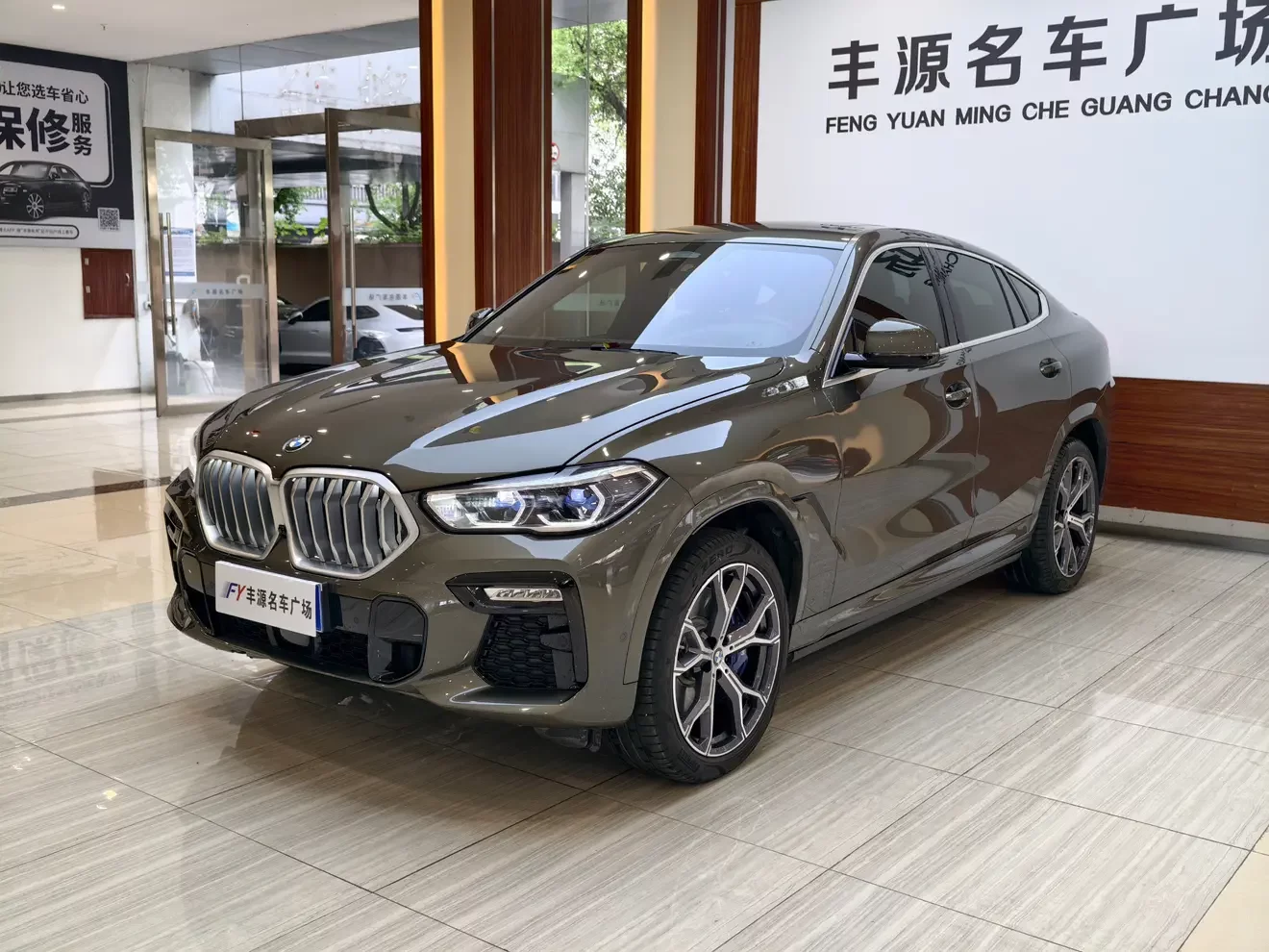 BMW X6