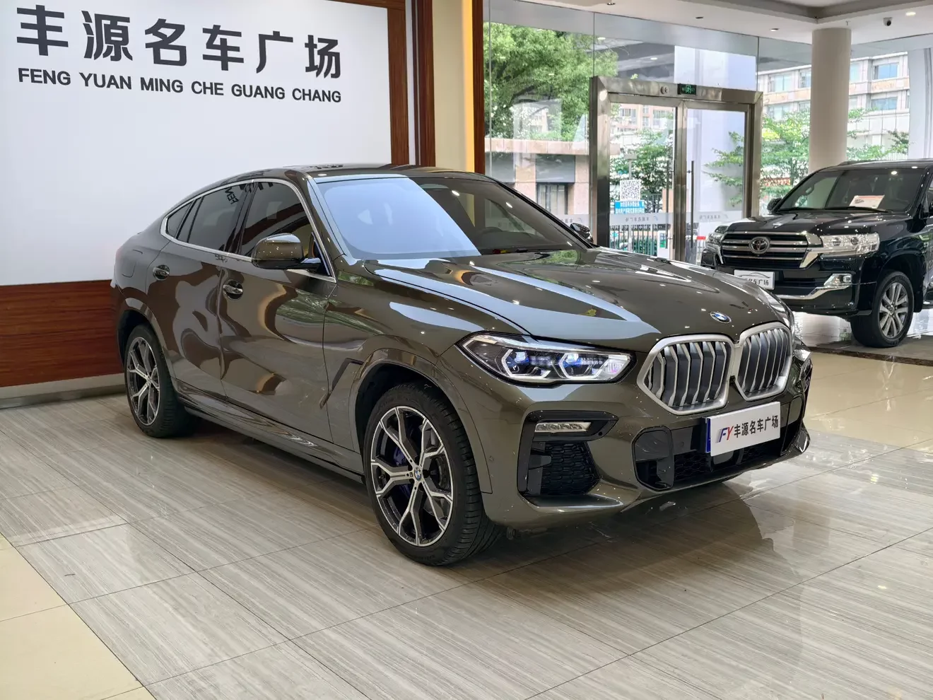 BMW X6
