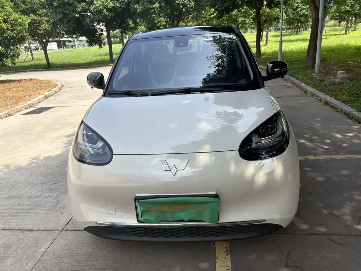 Wuling Bingo