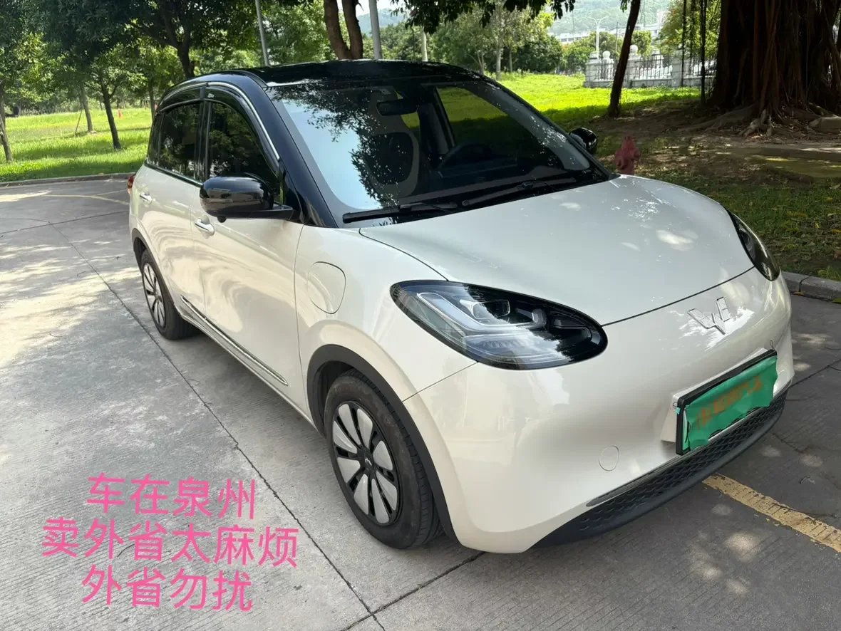 Wuling Bingo