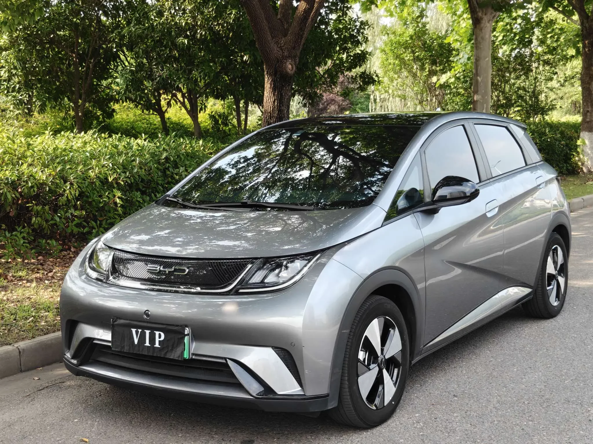 BYD dolphin