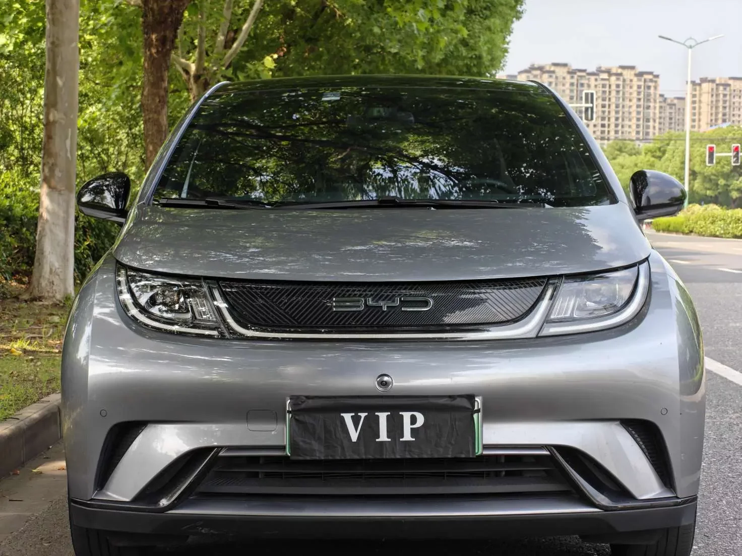 BYD dolphin