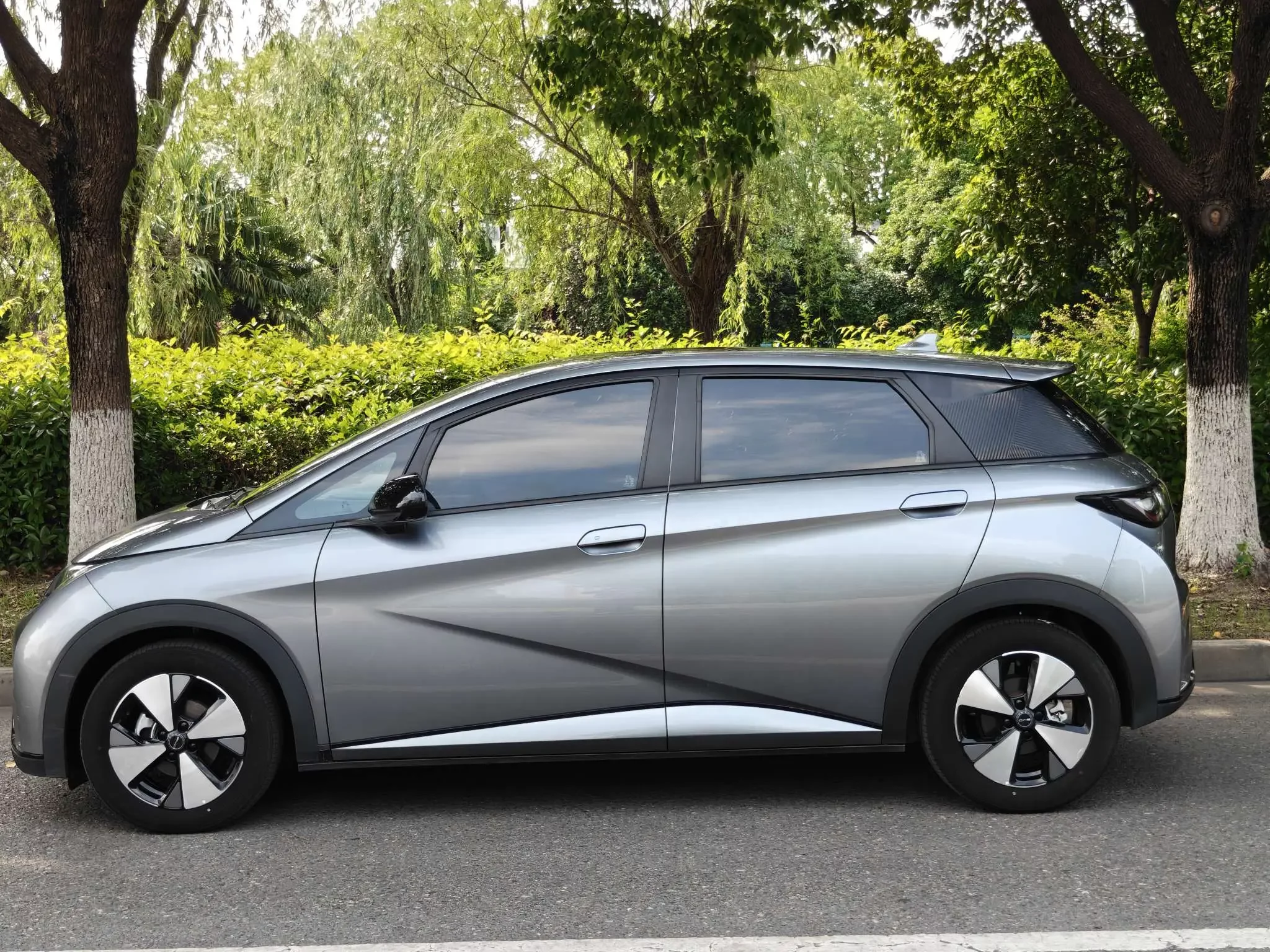 BYD dolphin