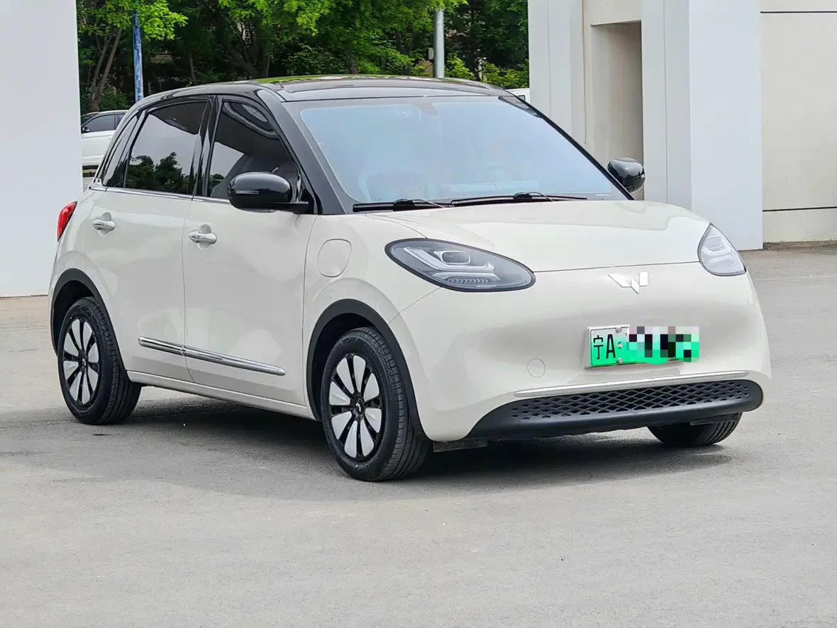 Wuling Bingo