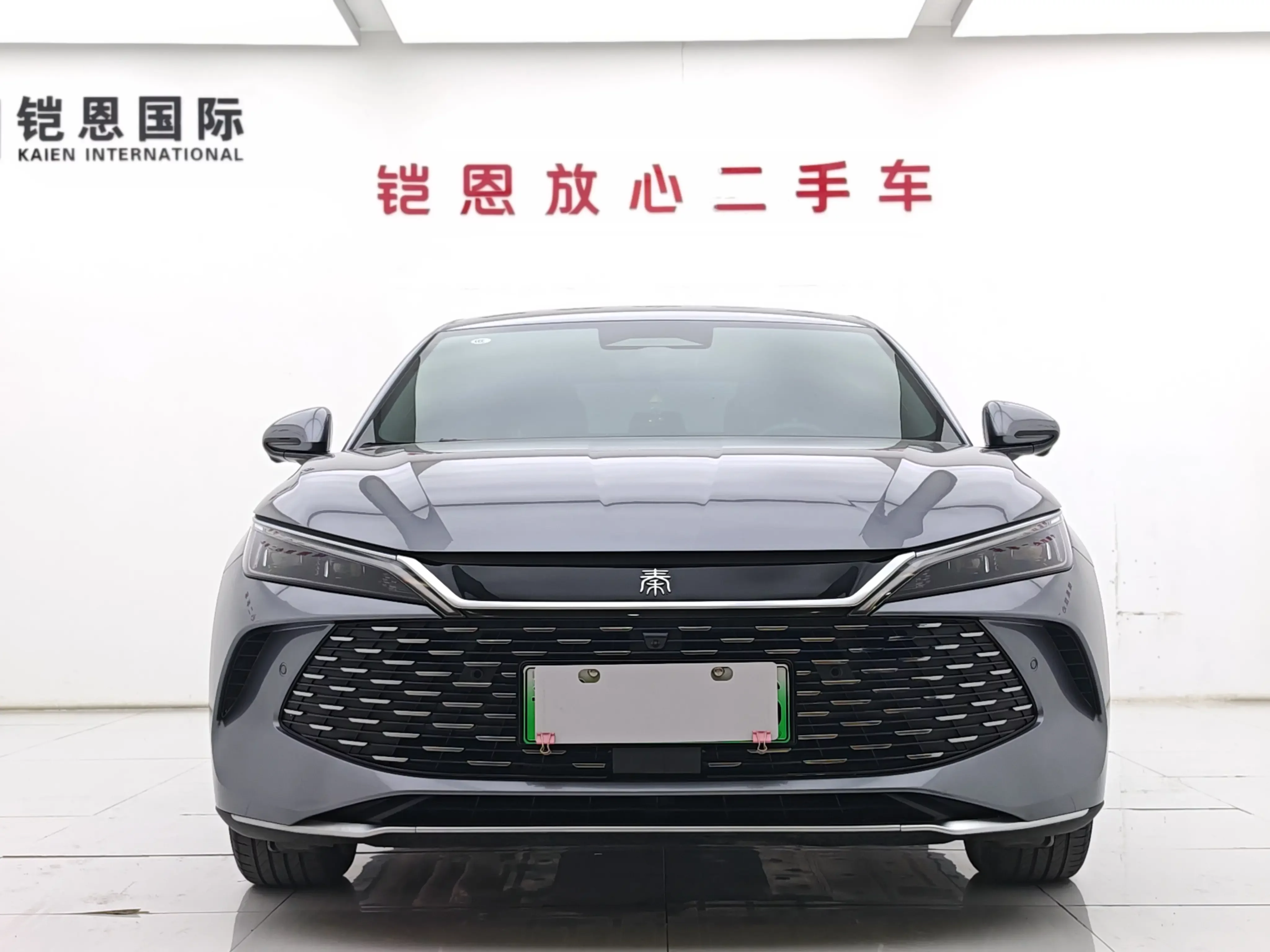 BYD Qin L DM