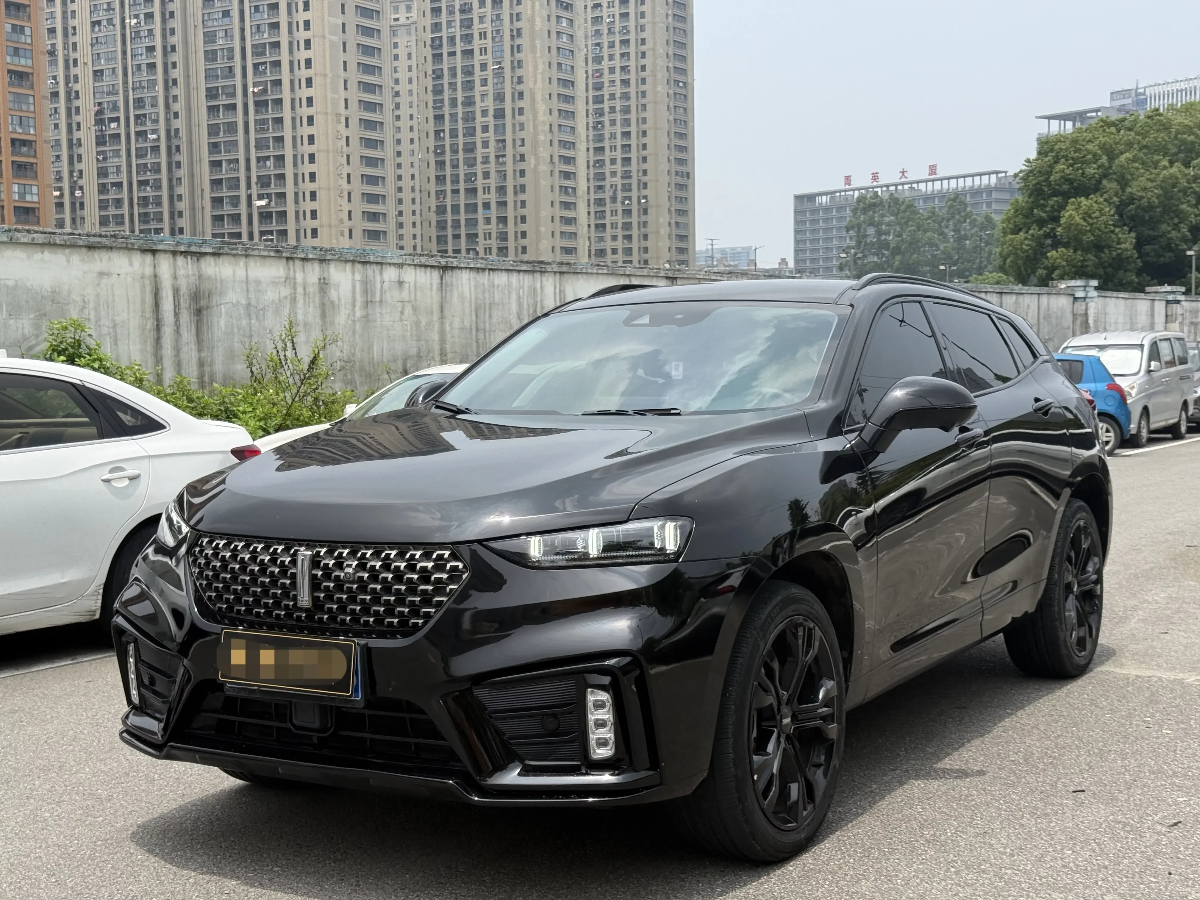 Wey Wei brand VV7