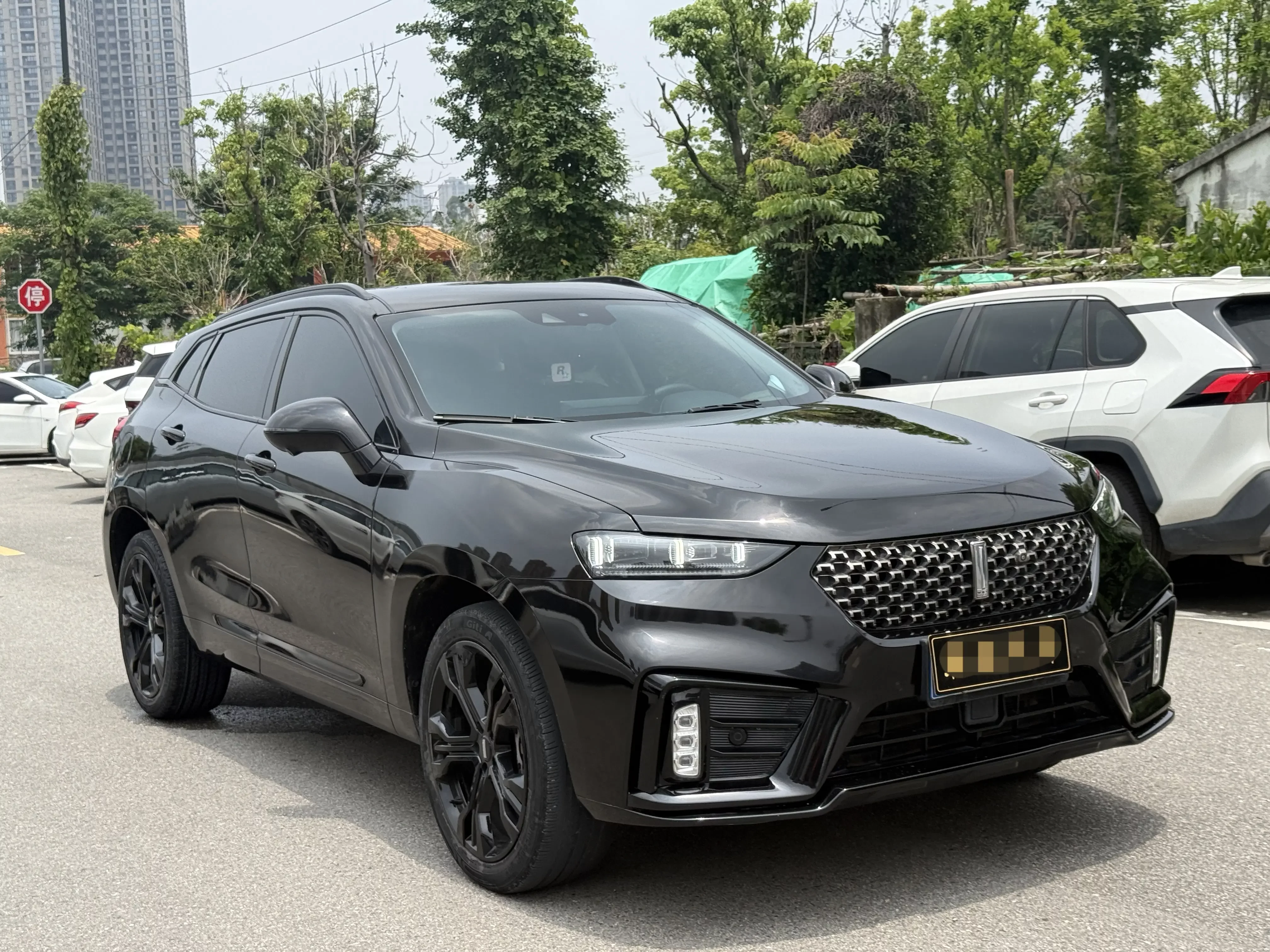 Wey Wei brand VV7