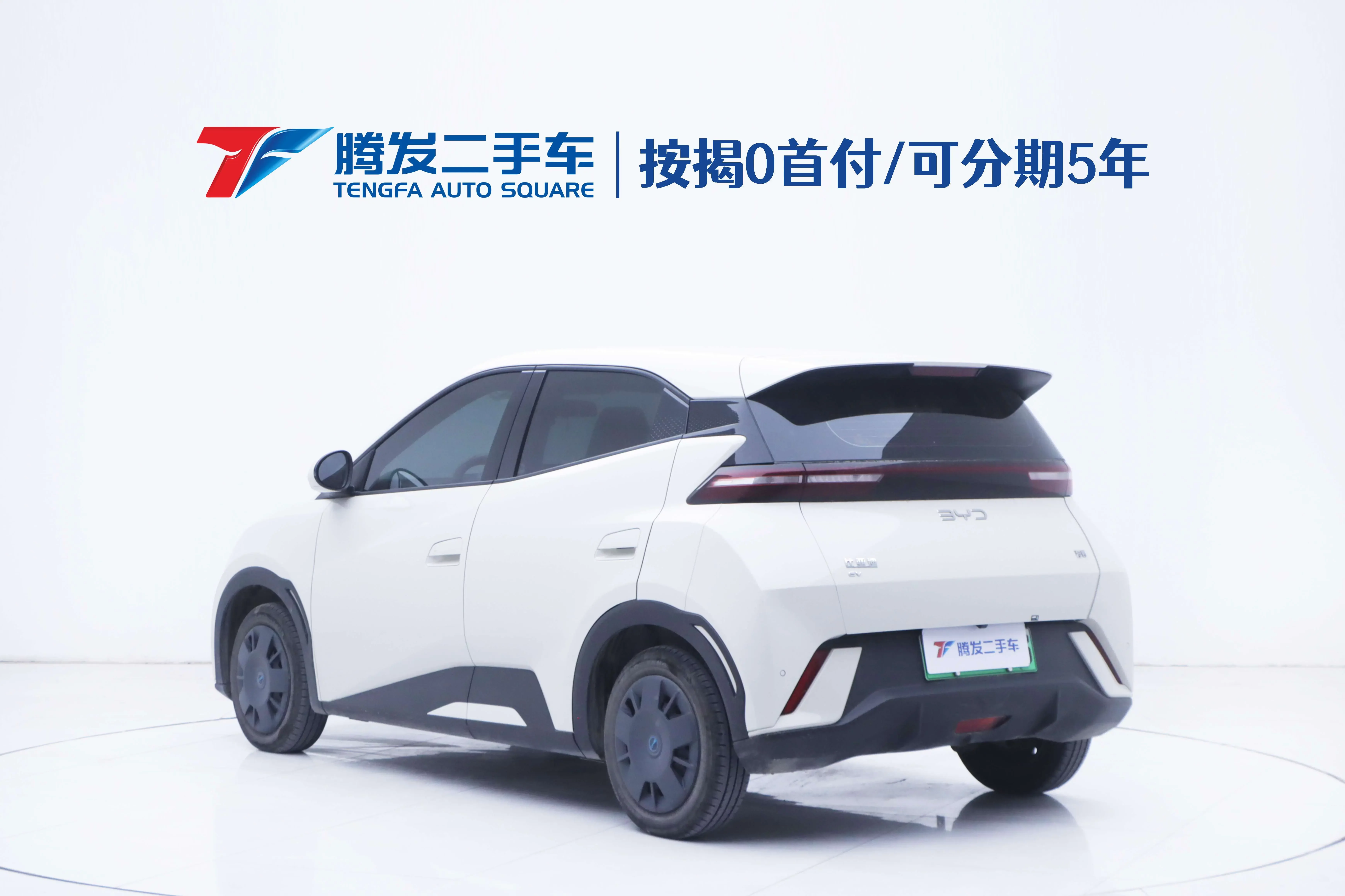 BYD seagull