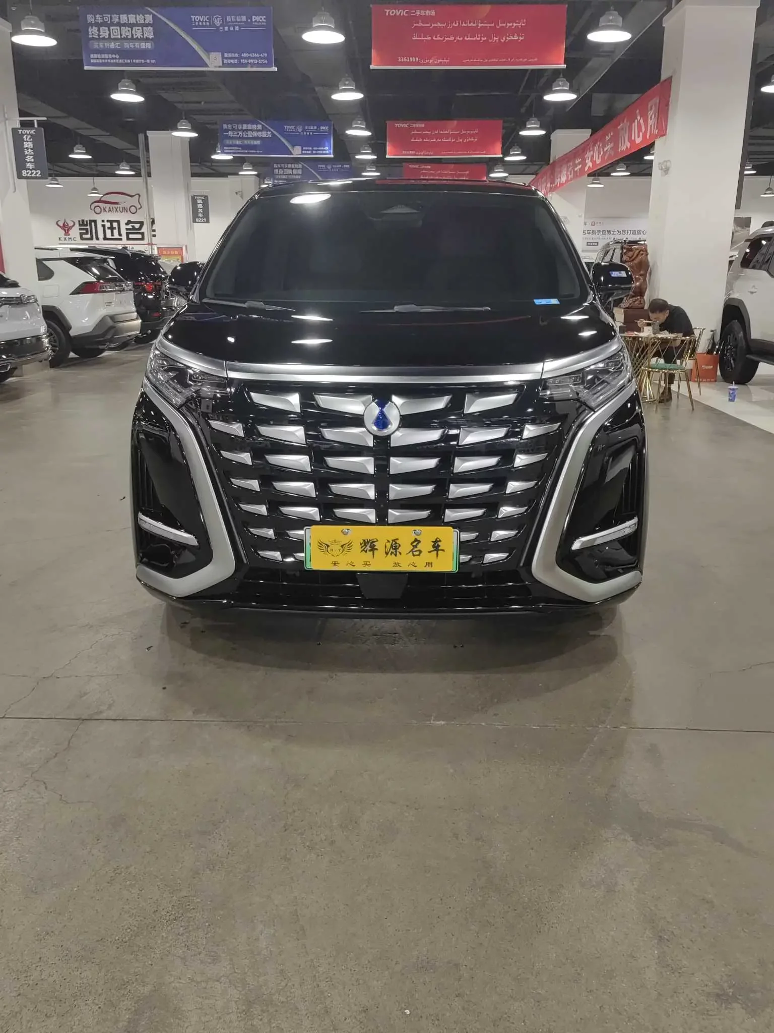 Denza D9 DM