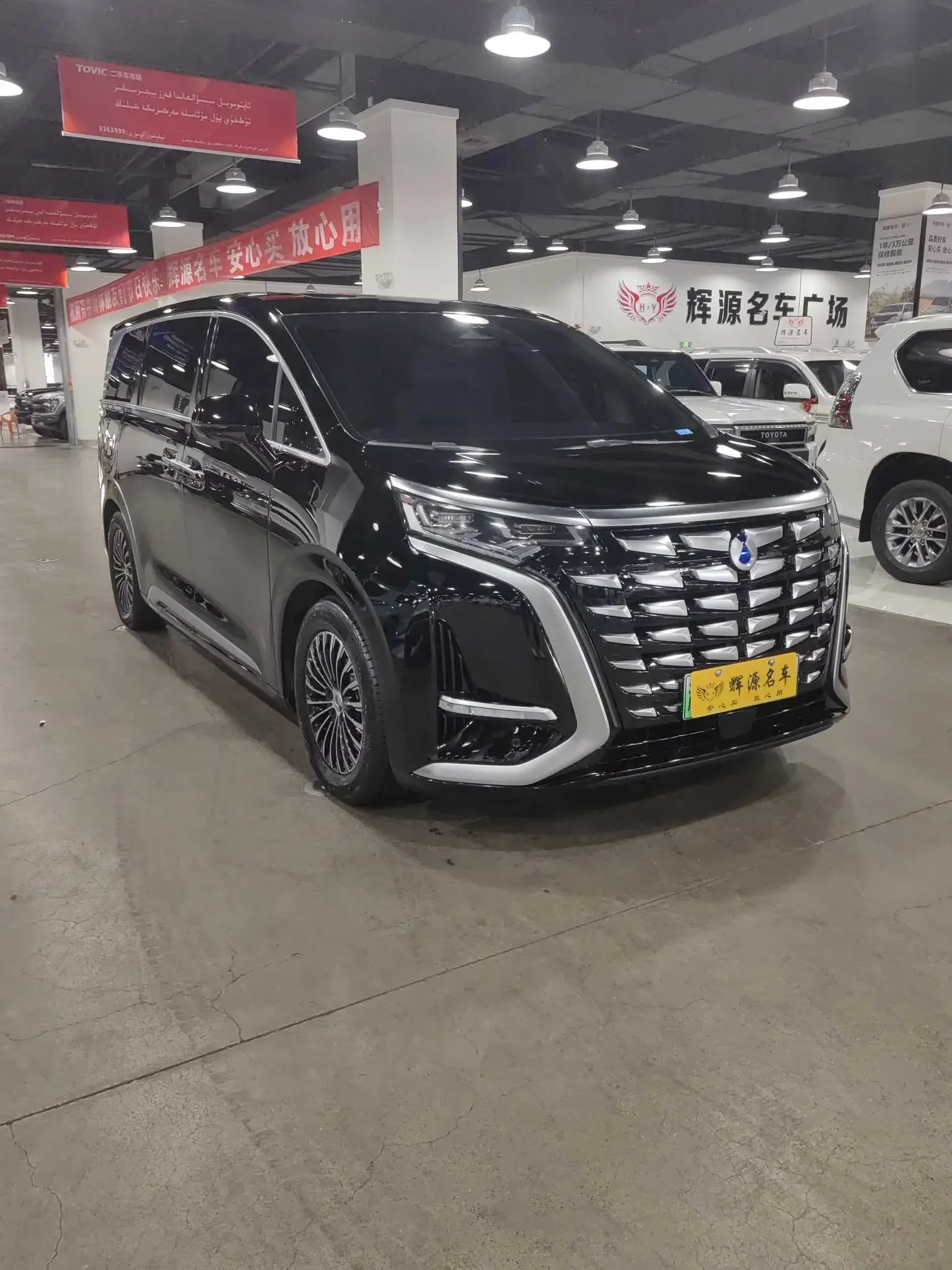 Denza D9 DM