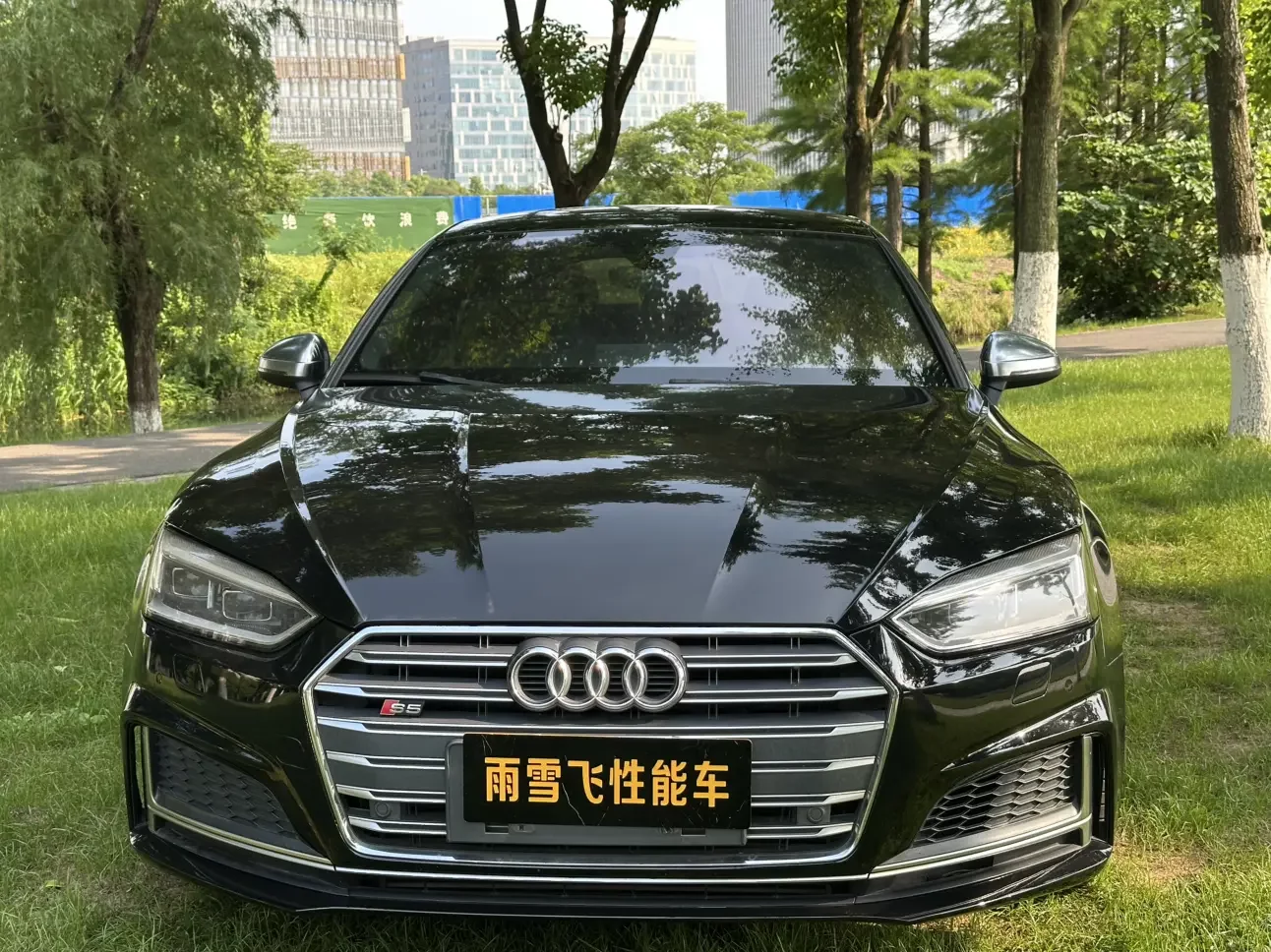 Audi S5