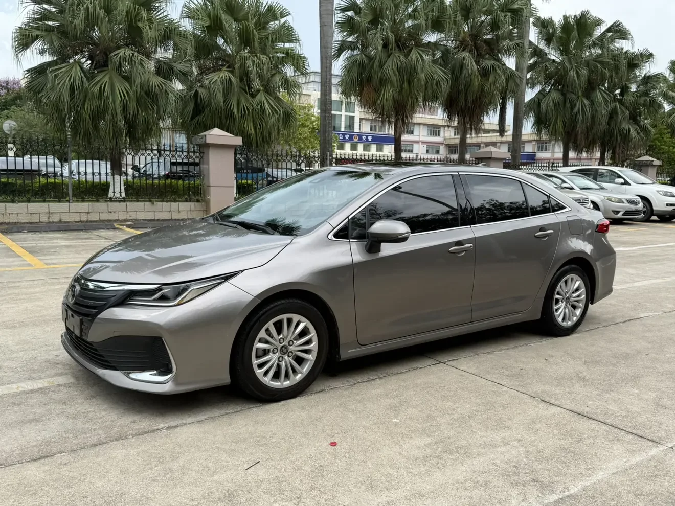 Toyota Asiatic lion