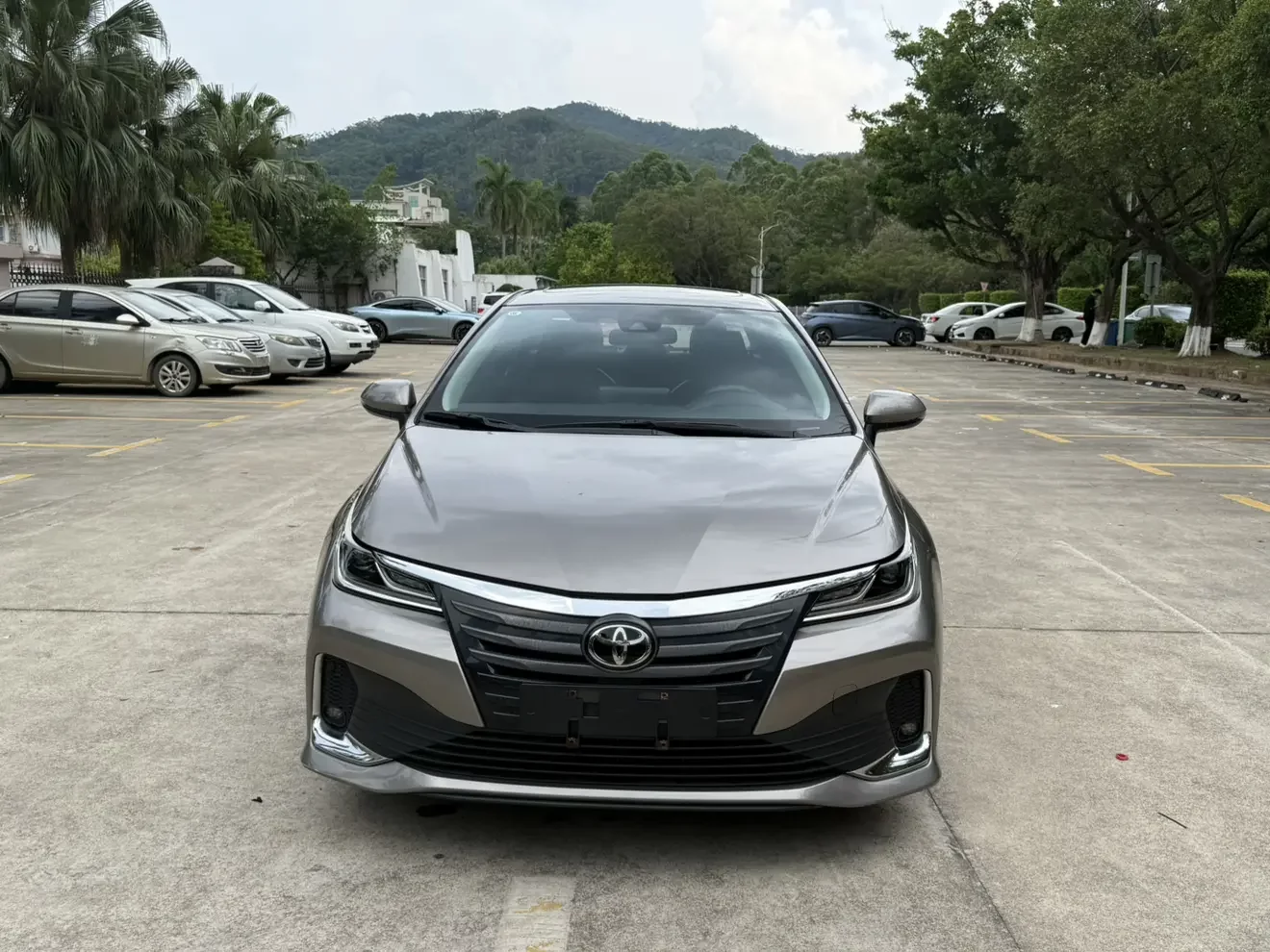 Toyota Asiatic lion