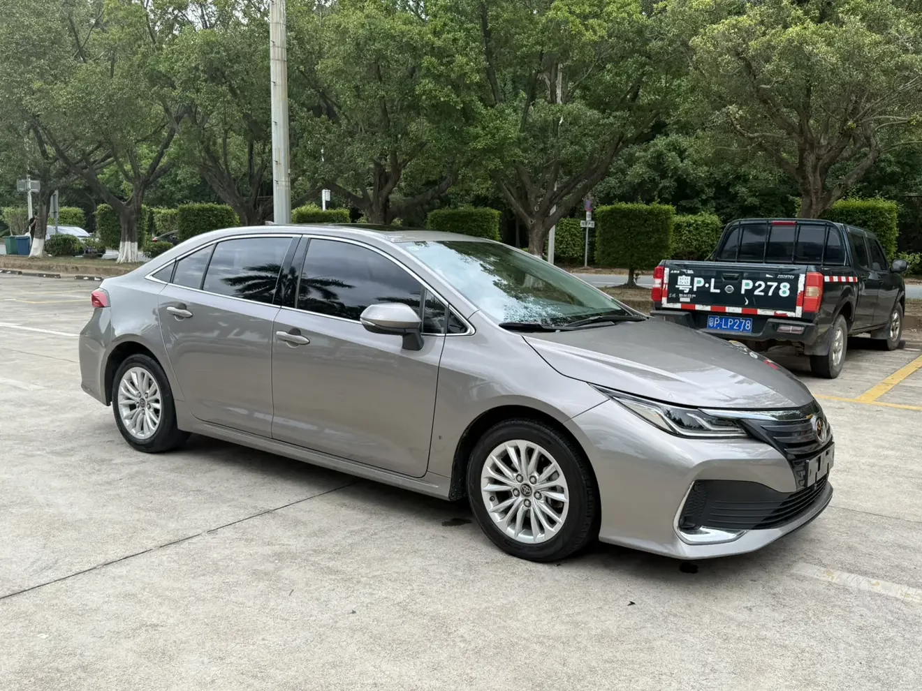 Toyota Asiatic lion