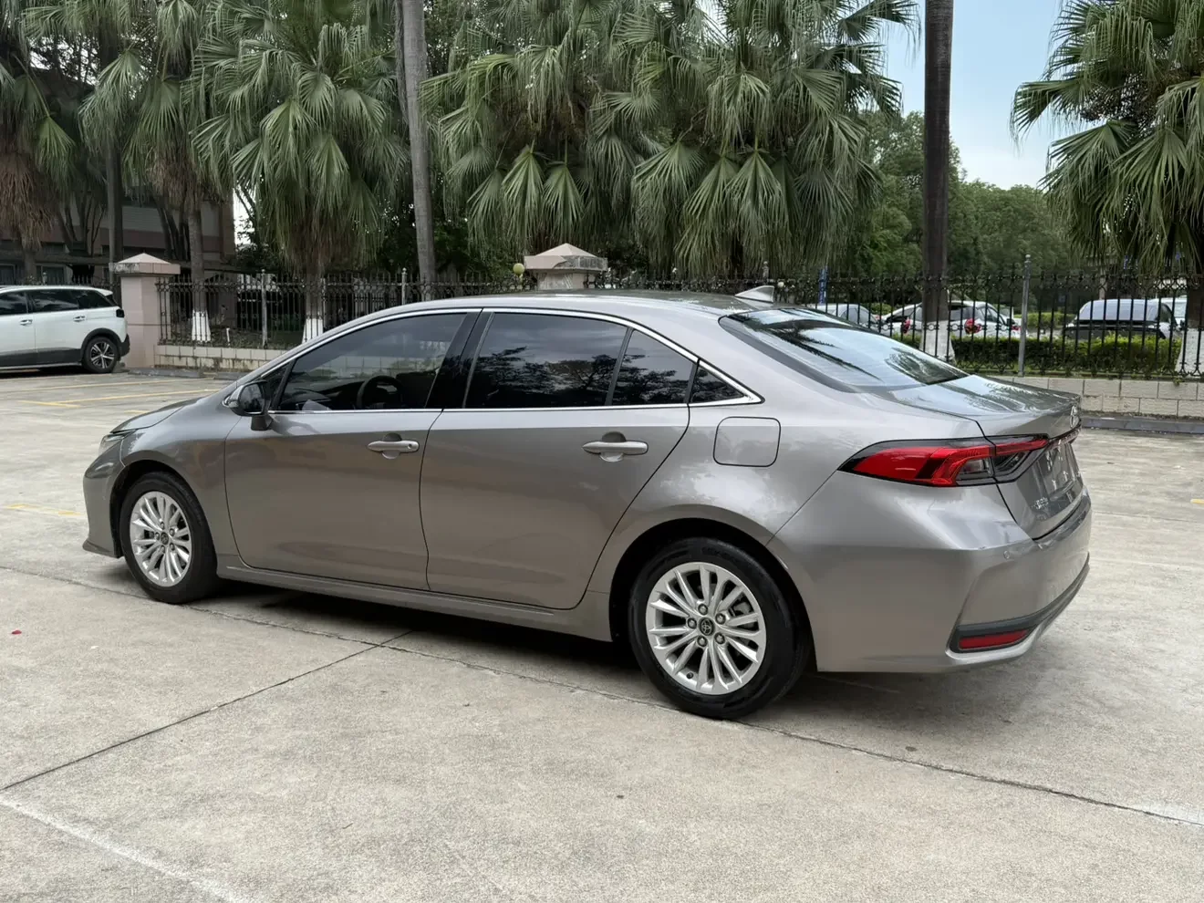 Toyota Asiatic lion
