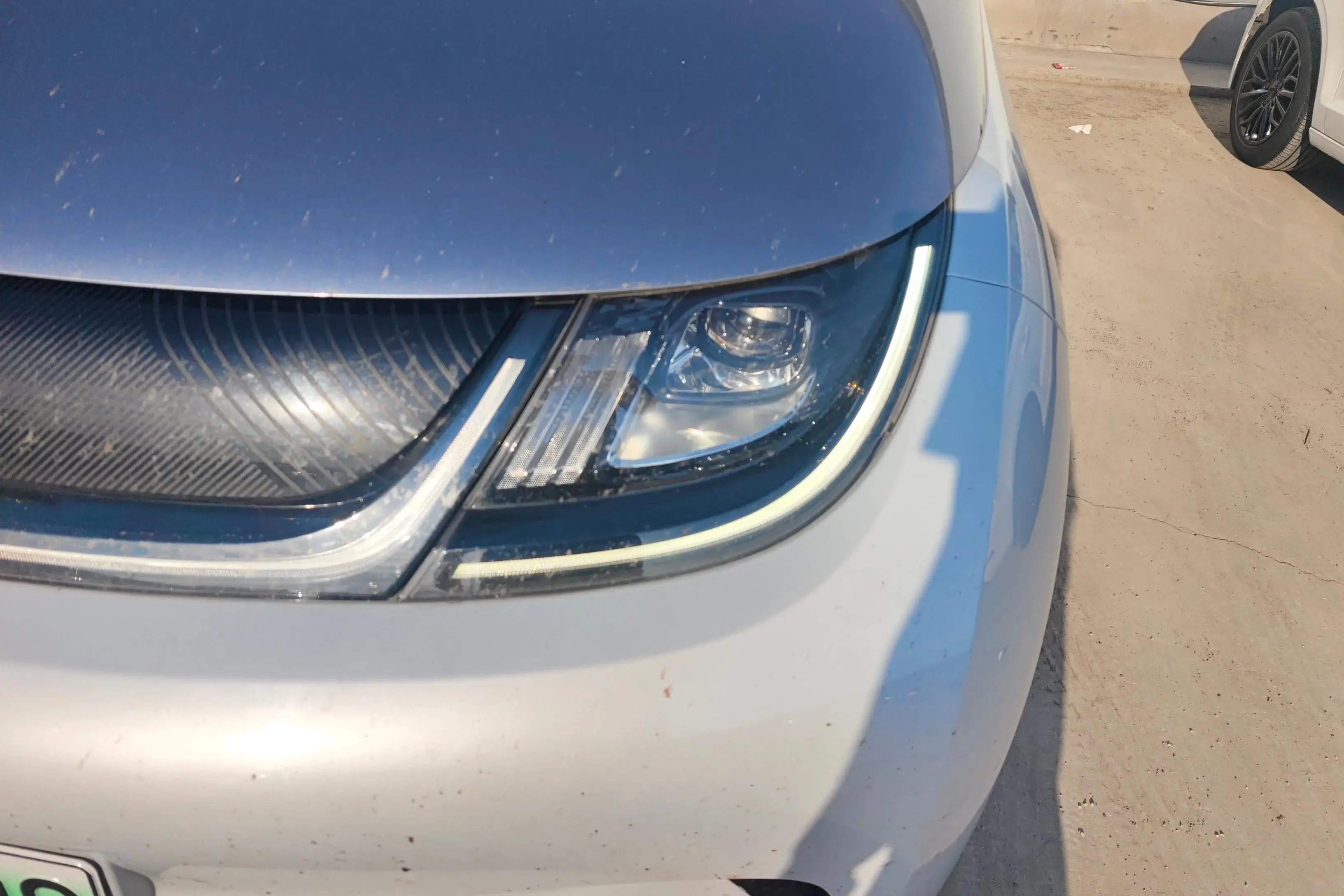 BYD dolphin