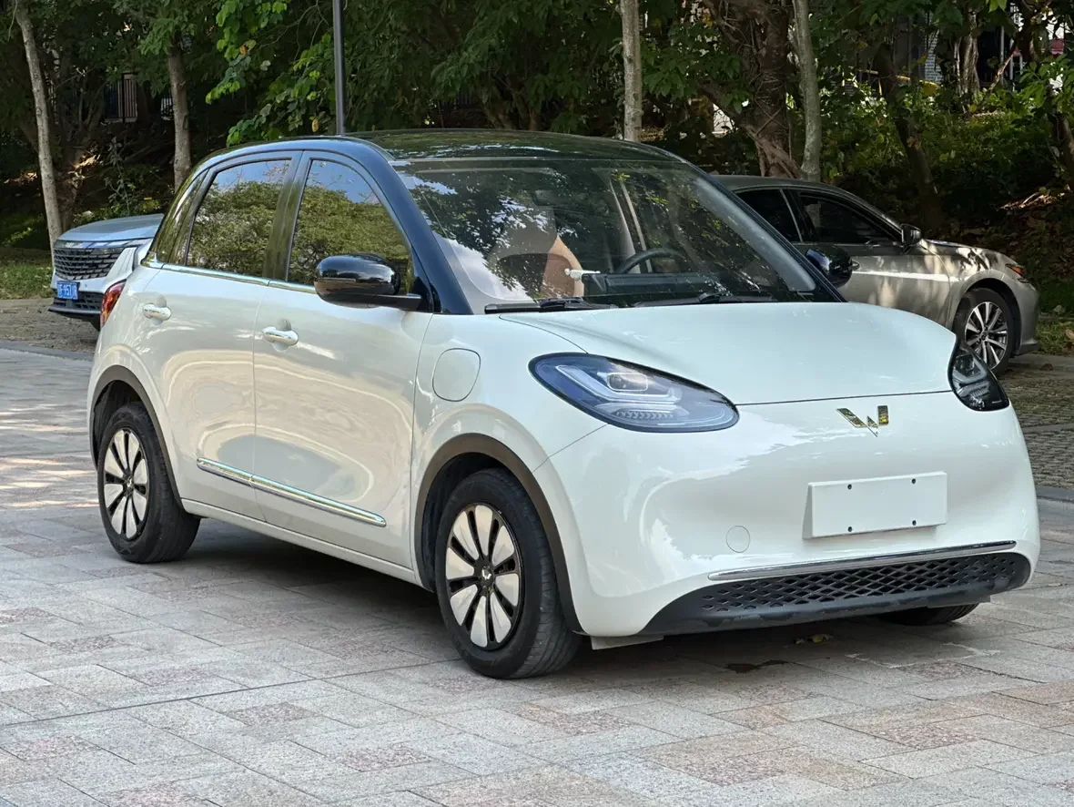 Wuling Bingo
