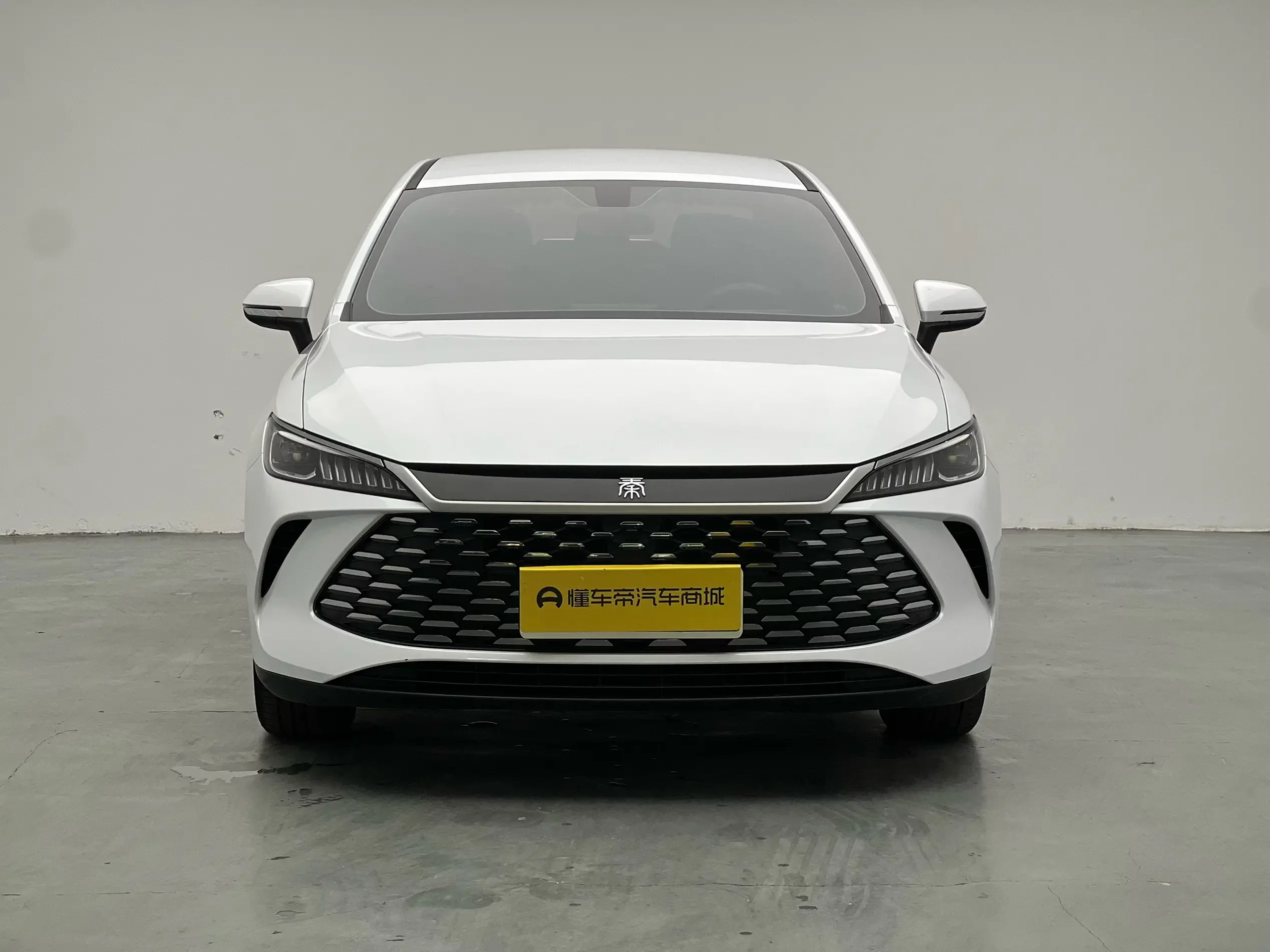 BYD Qin PLUS DM