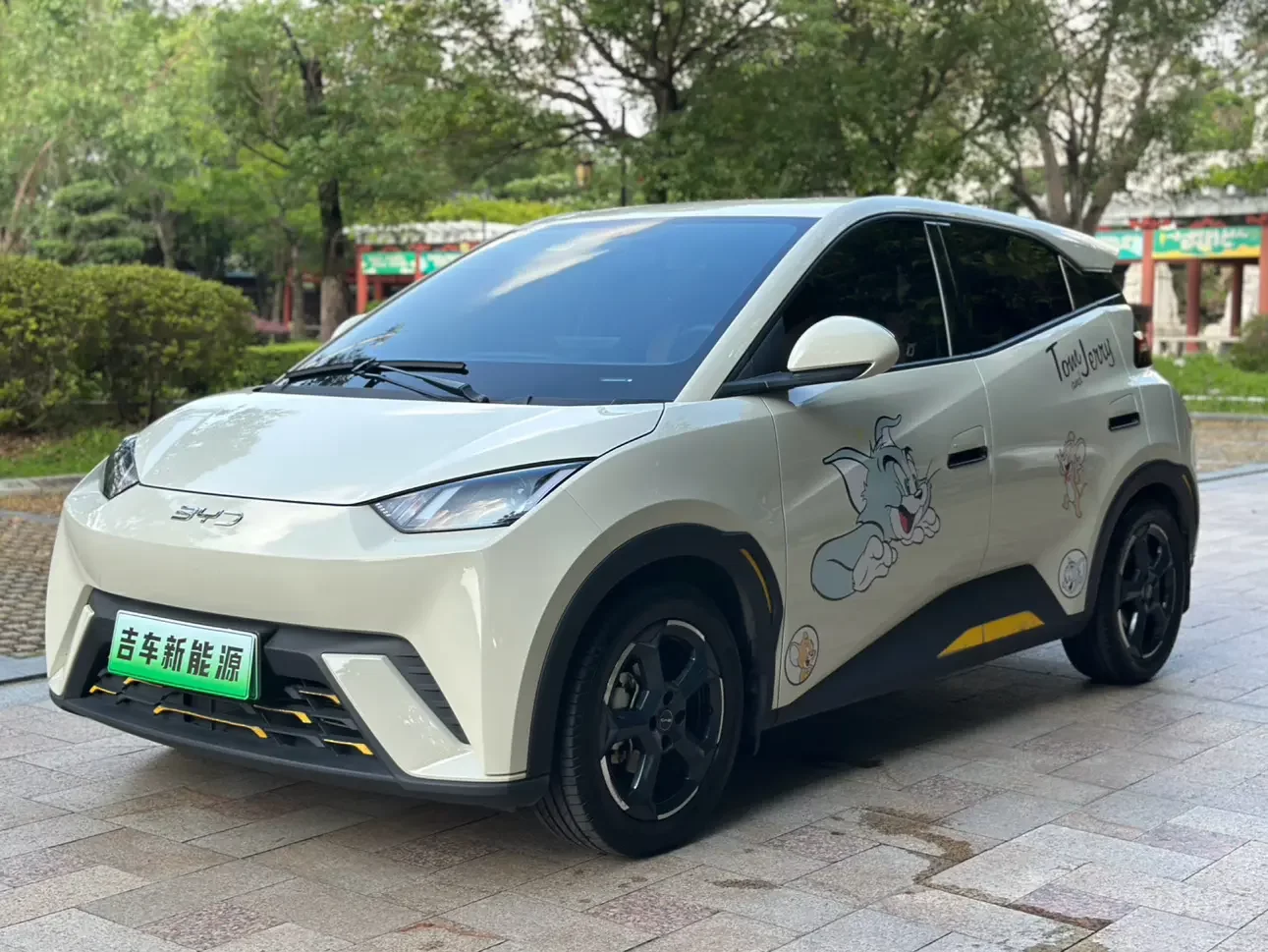 BYD seagull