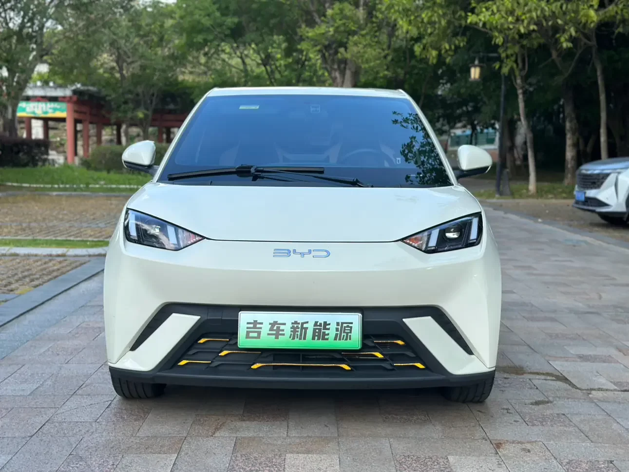BYD seagull