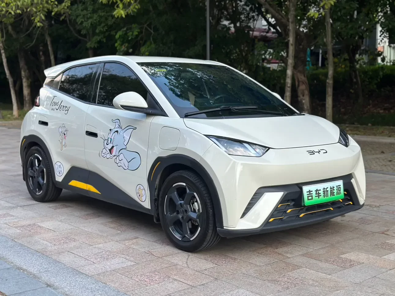 BYD seagull