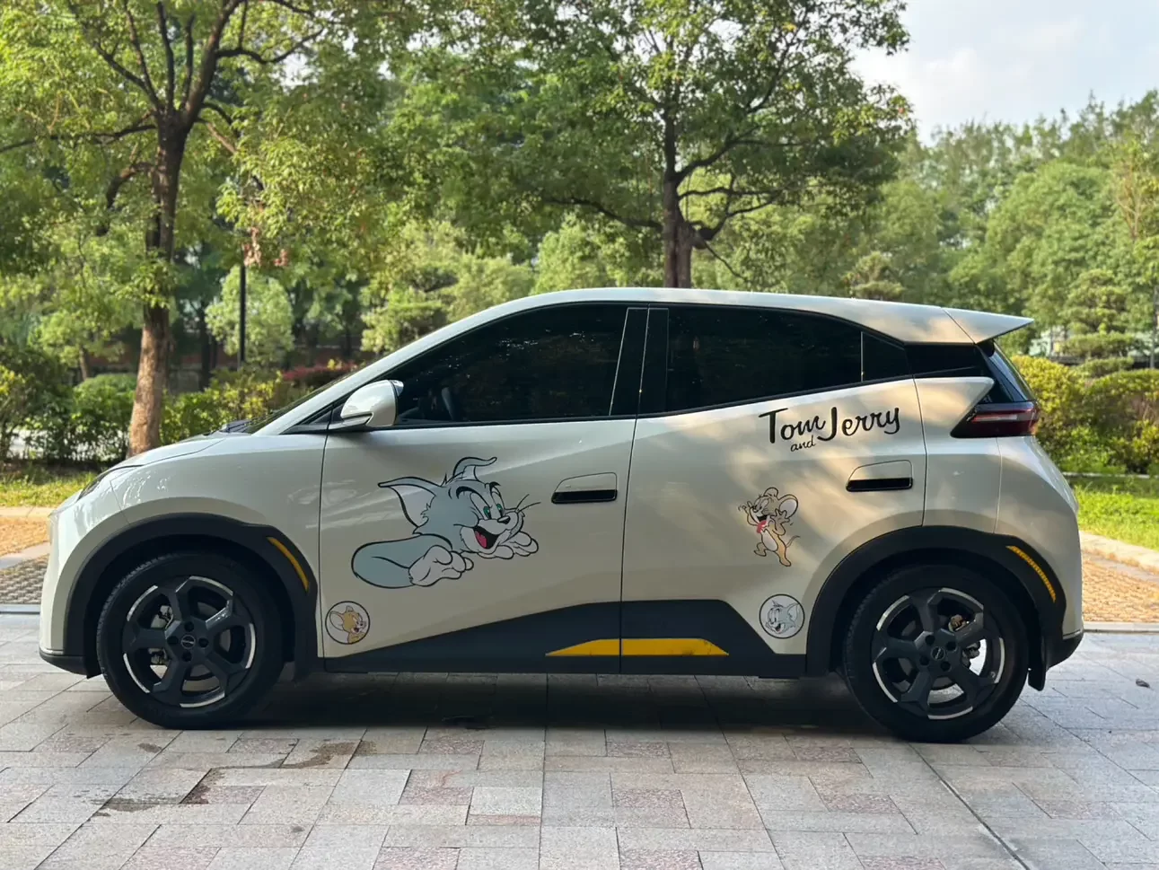BYD seagull
