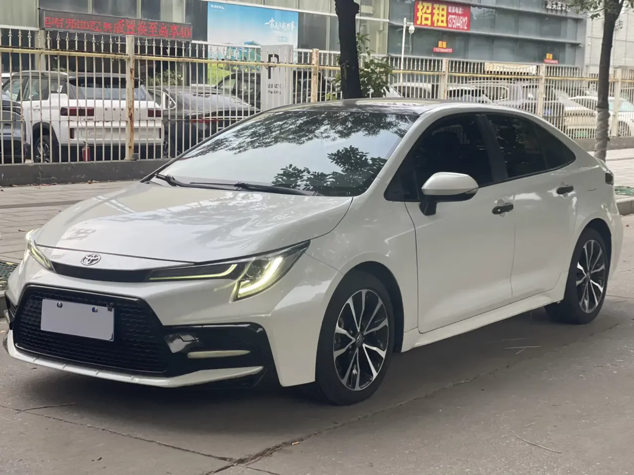 Toyota Levin