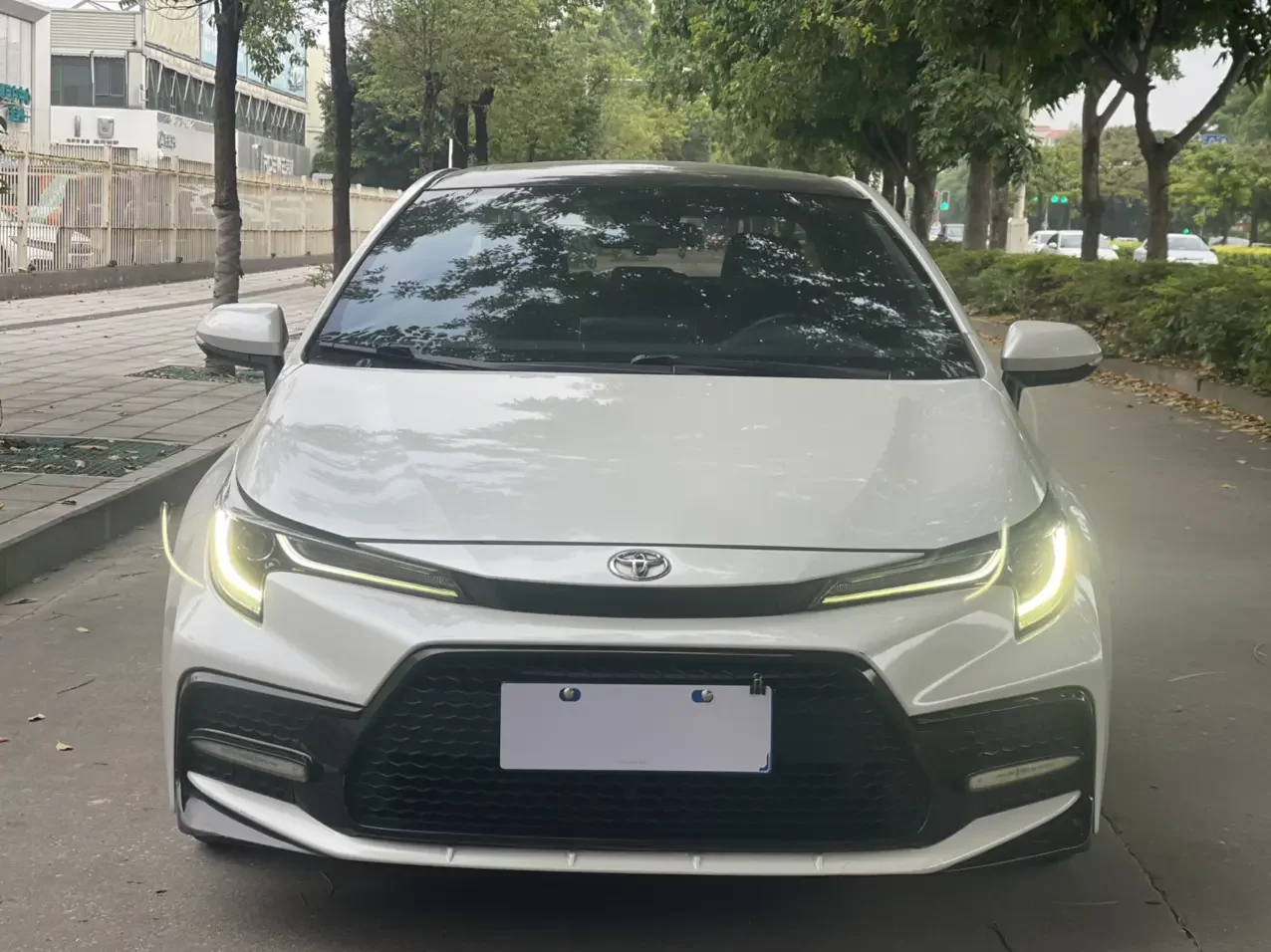 Toyota Levin