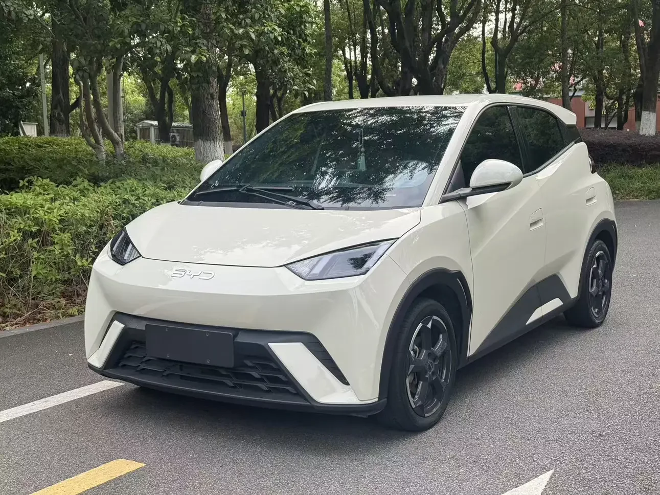 BYD seagull