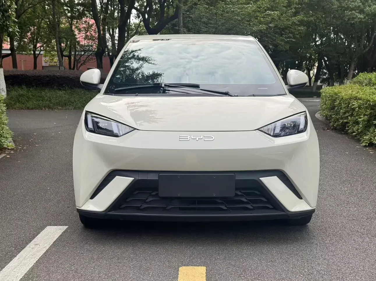 BYD seagull